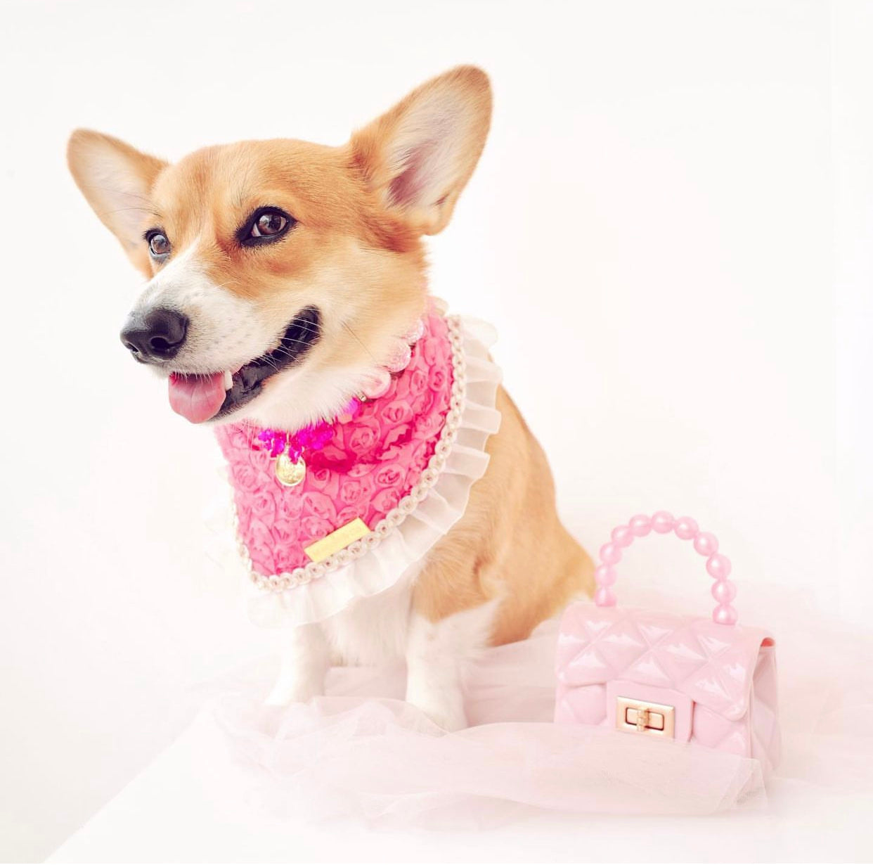 Forever Bliss: Miss Bailey