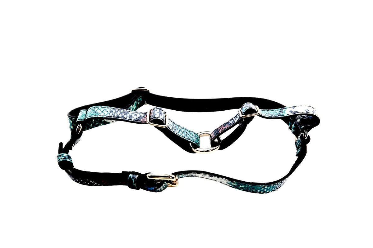 Allysa Payne Green, Blue, Black, Red Embossed Snake Italian Leather Dog Harness
