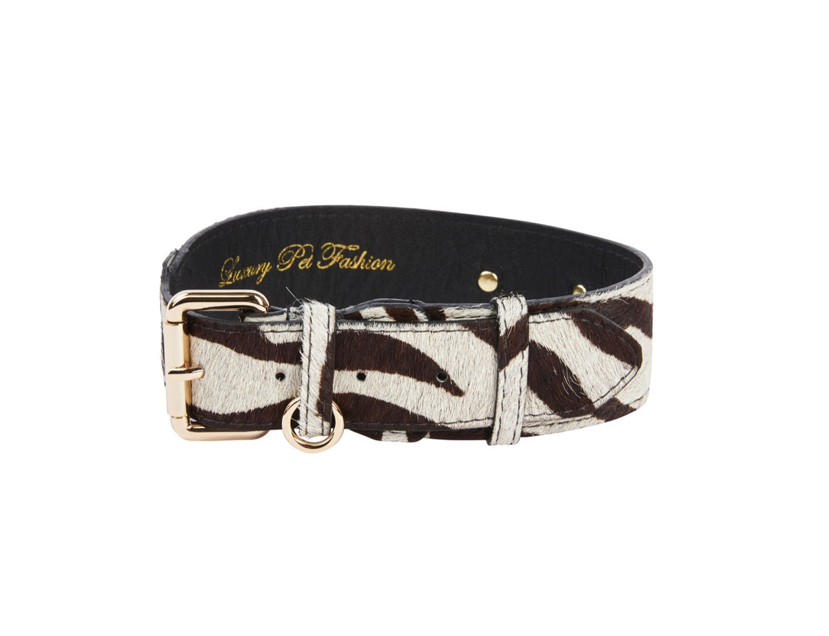 Allysa Payne Distressed Brown & White Zebra Print Hair On Hide Classic Dog Collar with Gold Classic Hardware