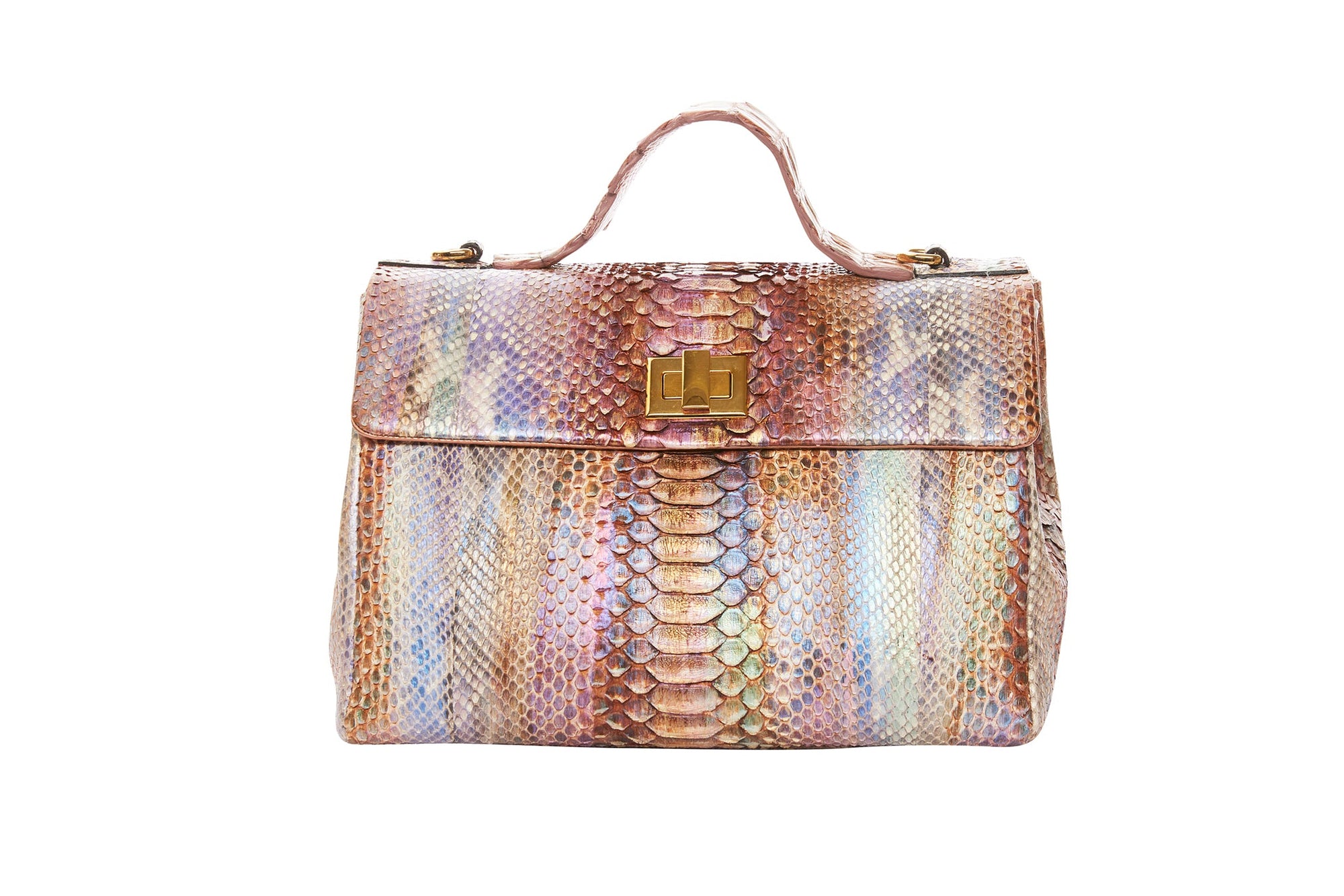 Allysa Payne Iridescent Python & Business/Travel Bag