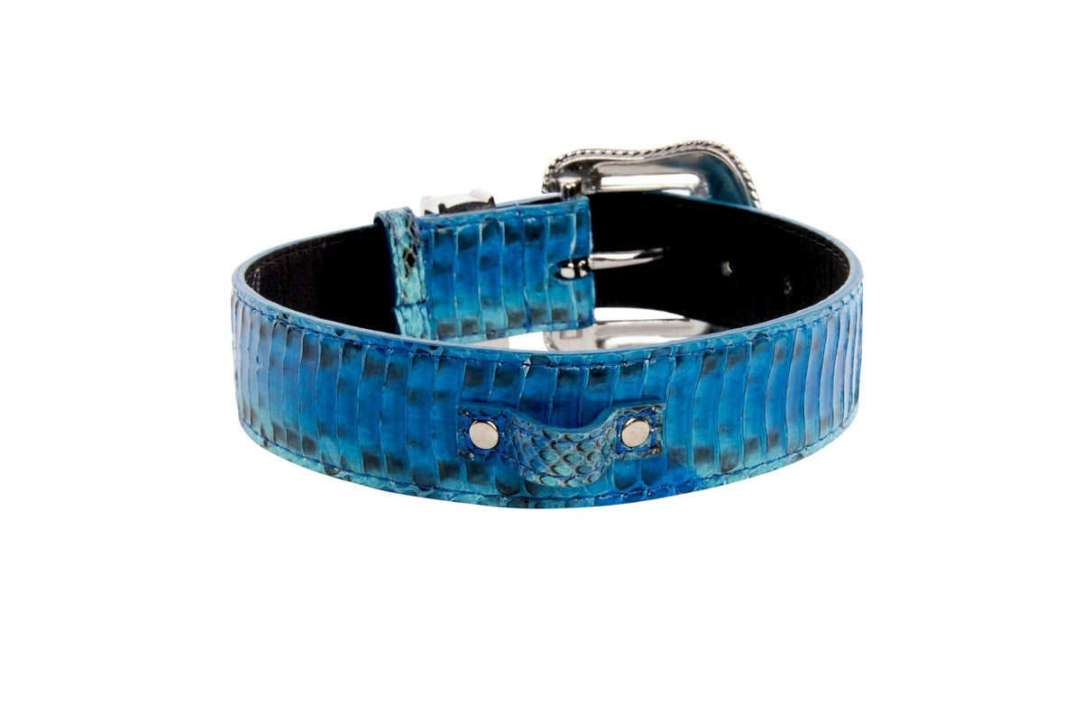 Allysa Payne Blue & Turquoise Snake Dog Collar With Silver Swarovski Crystal Hardware