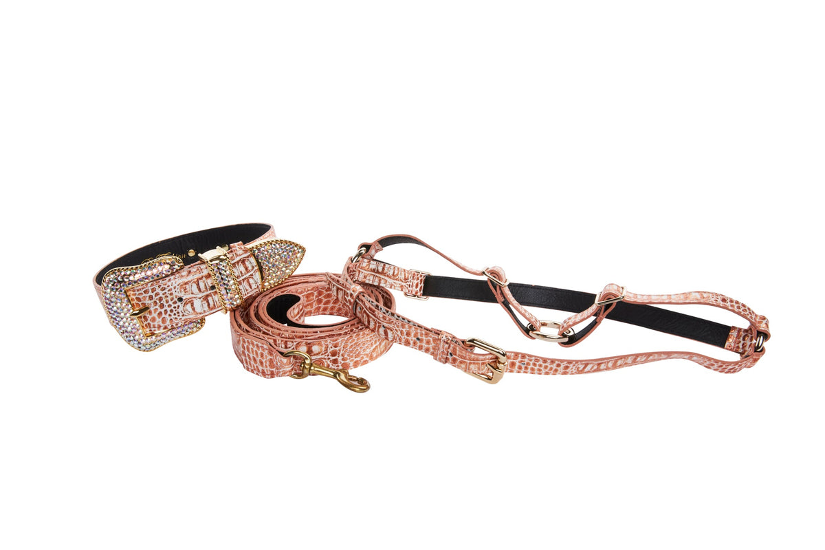 Allysa Payne Copper Embossed Croc Italian Leather Swarovski Crystal Dog Collar, Leash & Harness Set