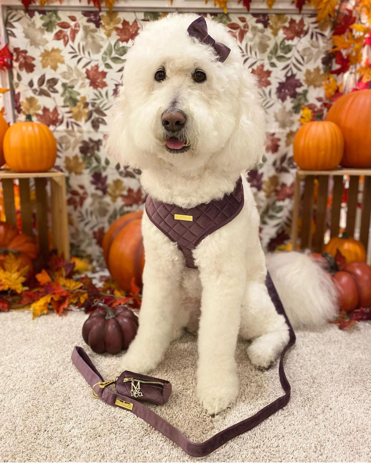 Velvet: The Susana Harness