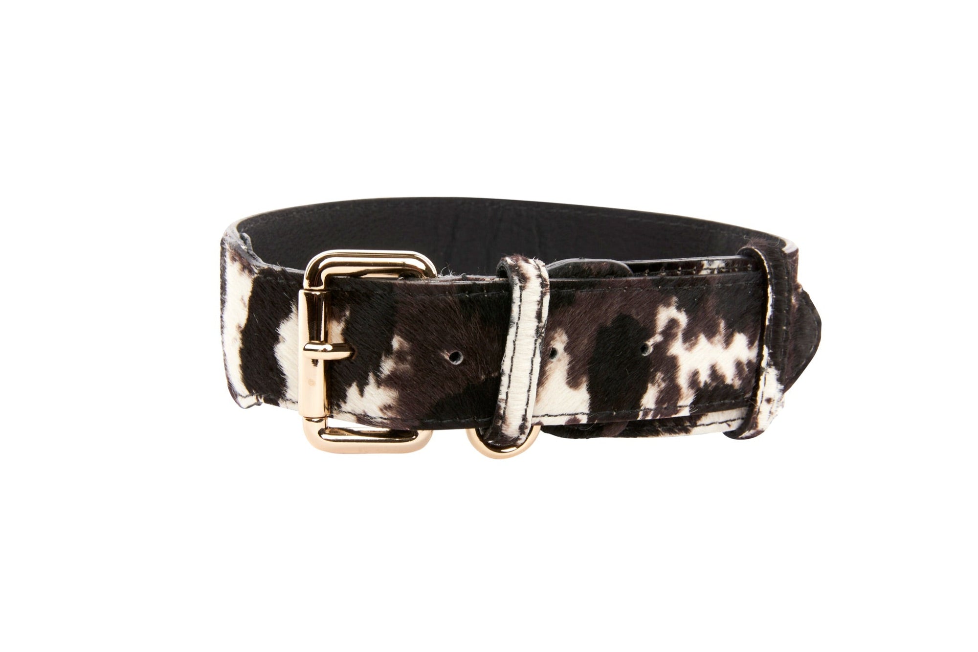 Allysa Payne Brown, Black & White Hair On Hide Dog Collar With Classic Gold Hardware
