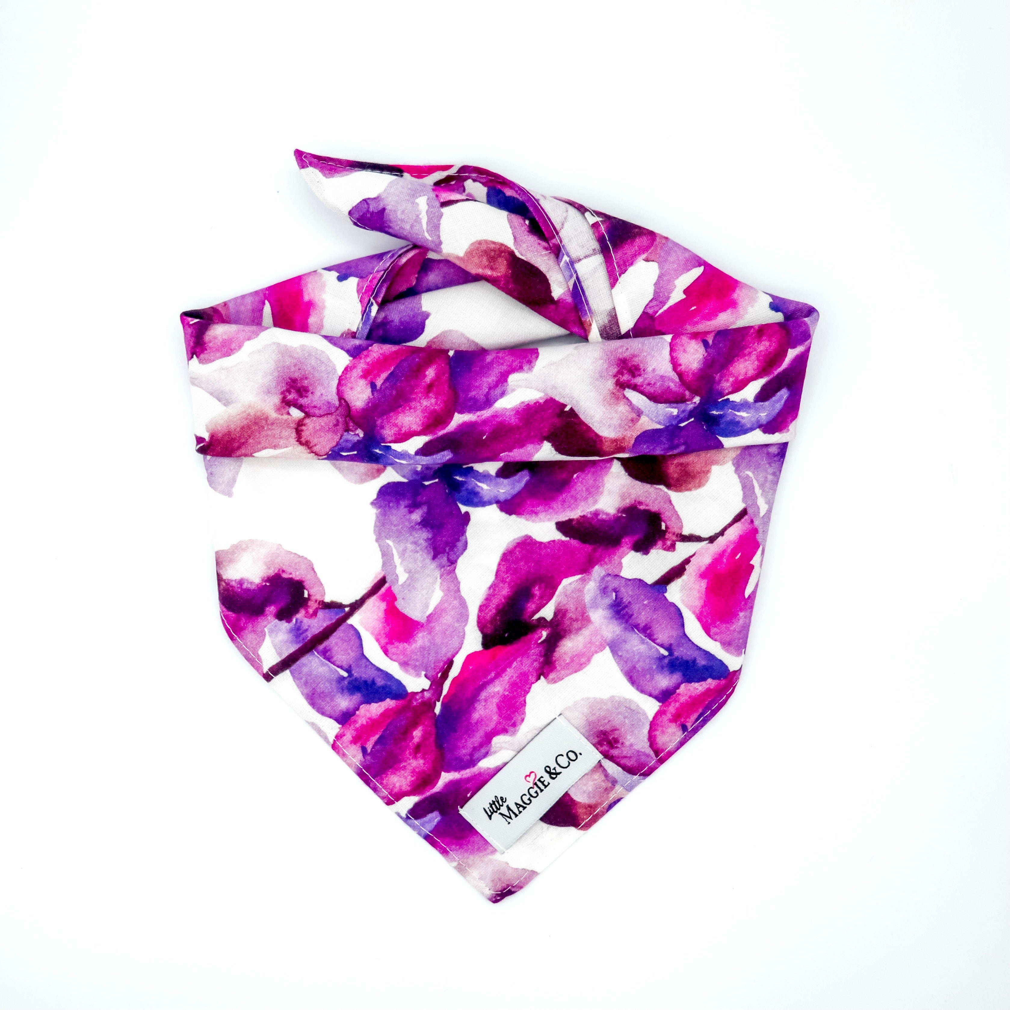 Classics: Fuchsia Blooms