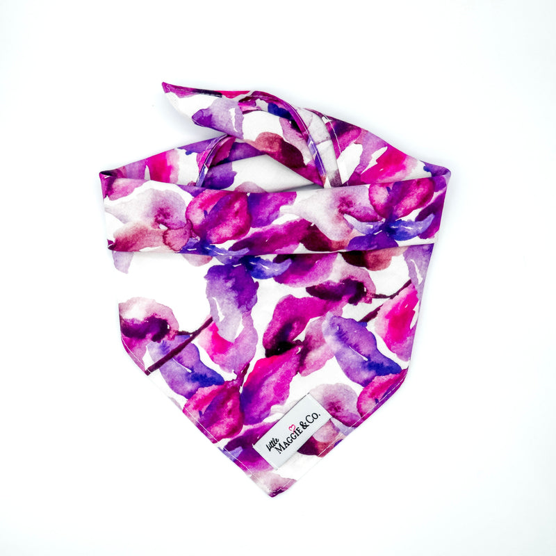 Classics: Fuchsia Blooms