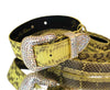 Allysa Payne Luxury Pet Fashion Soft Yellow & Black Snakeskin With Our Swarovski Crystal Hardware Dog Collar & Leash Set