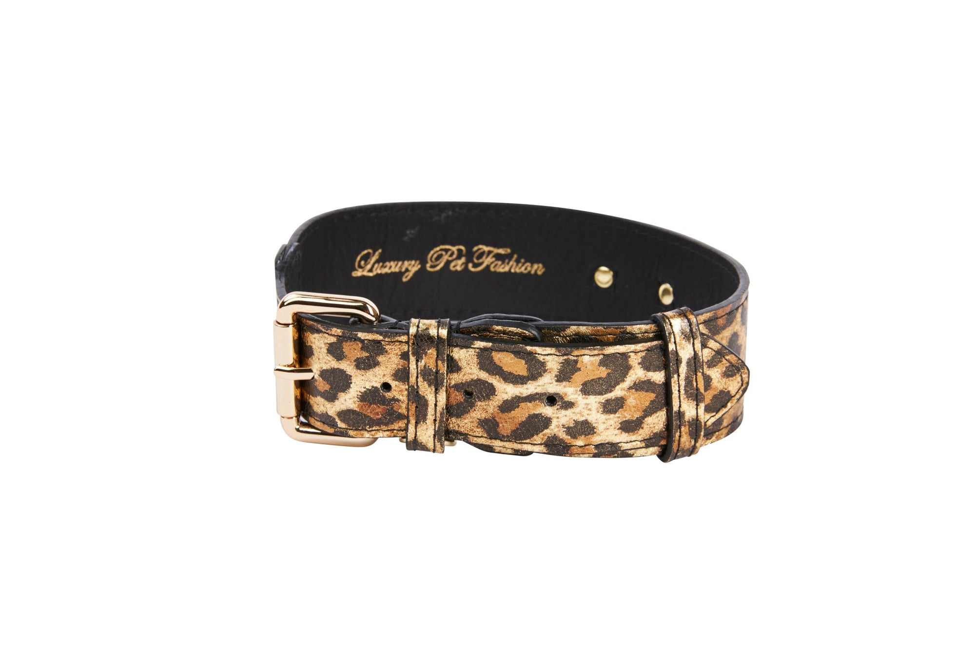 Allysa Payne Leopard Print Italian Leather Dog Collar With Gold Classic Hardware