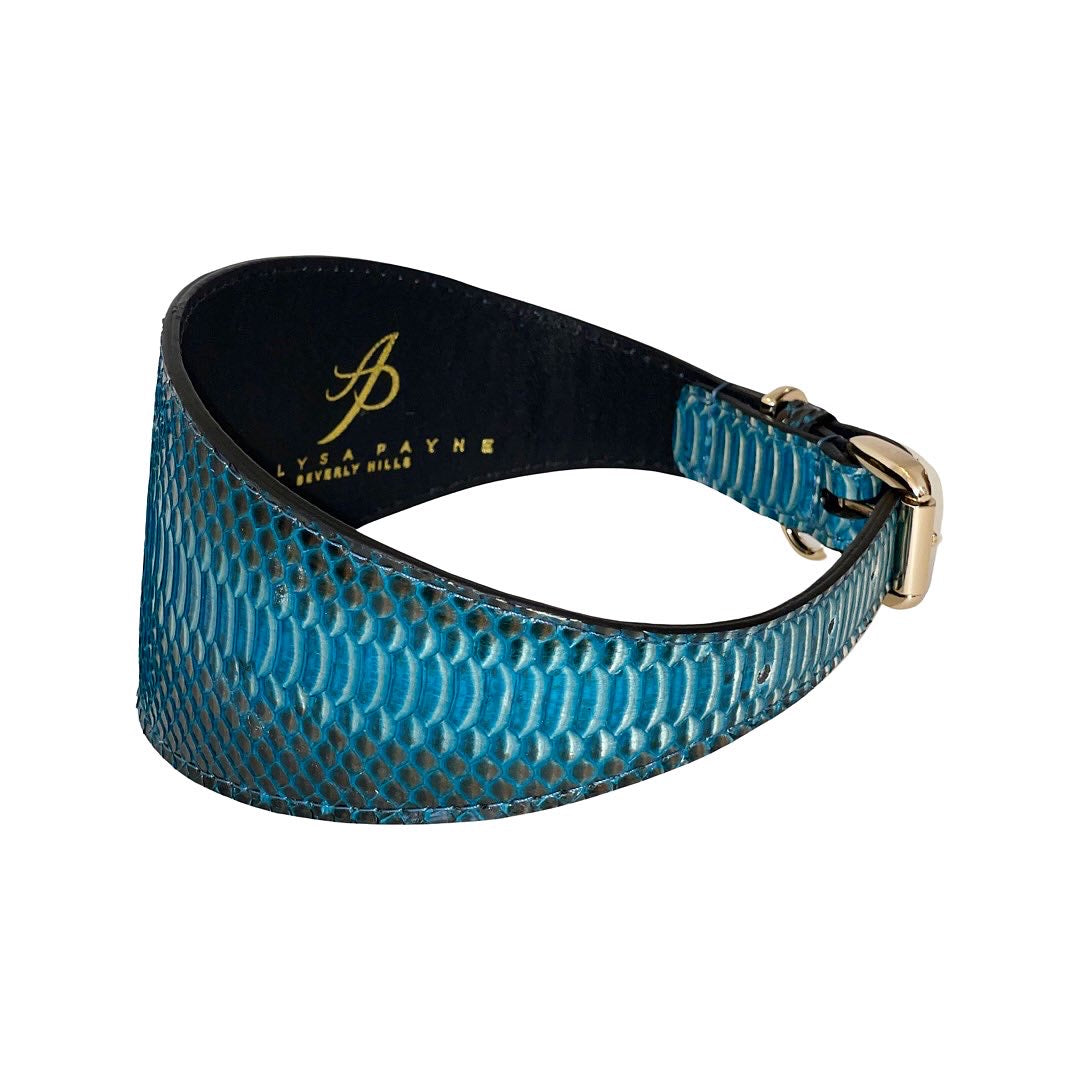 Turquoise/Black Snake