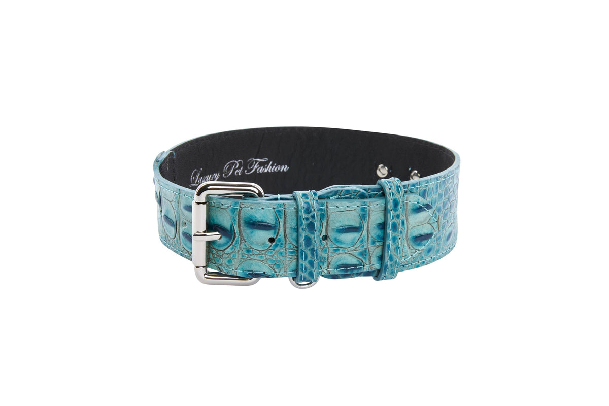Allysa Payne Turquoise Embossed Croc Italian Leather With Silver Classic Hardware Dog Collar