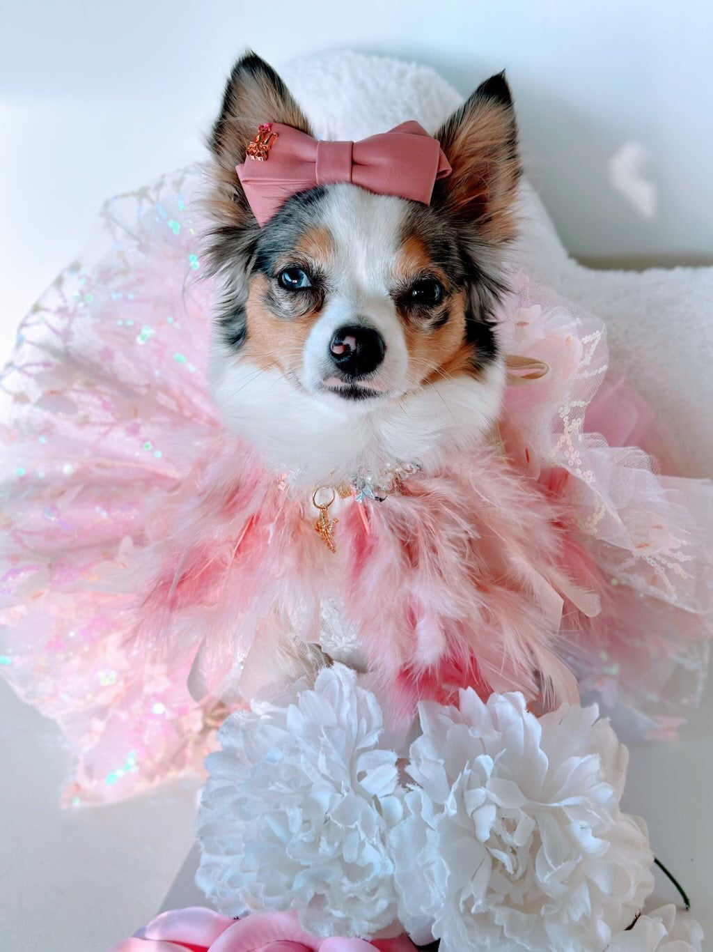 Haute: Whimsical*