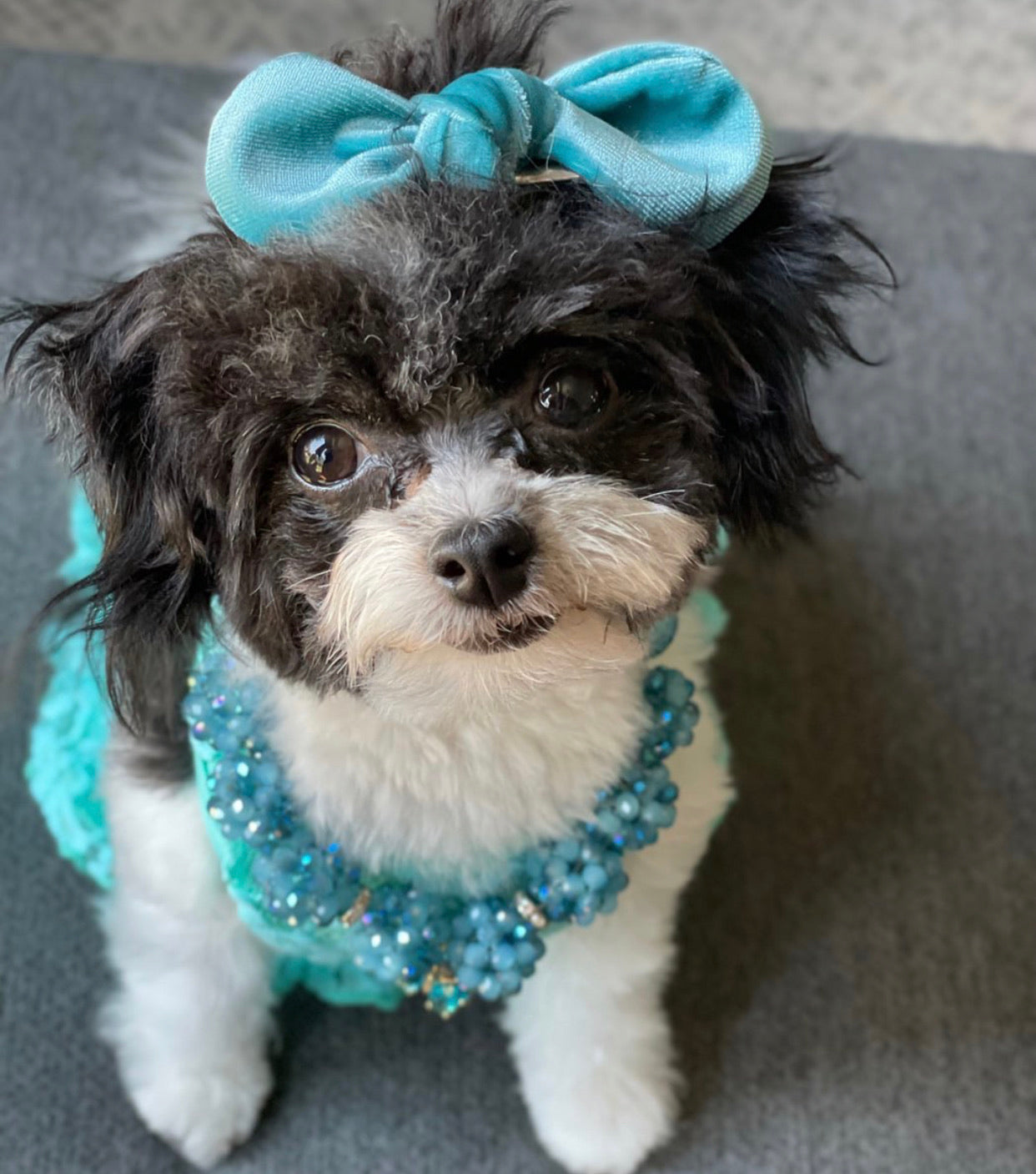 Necklace: Tropical Dreams