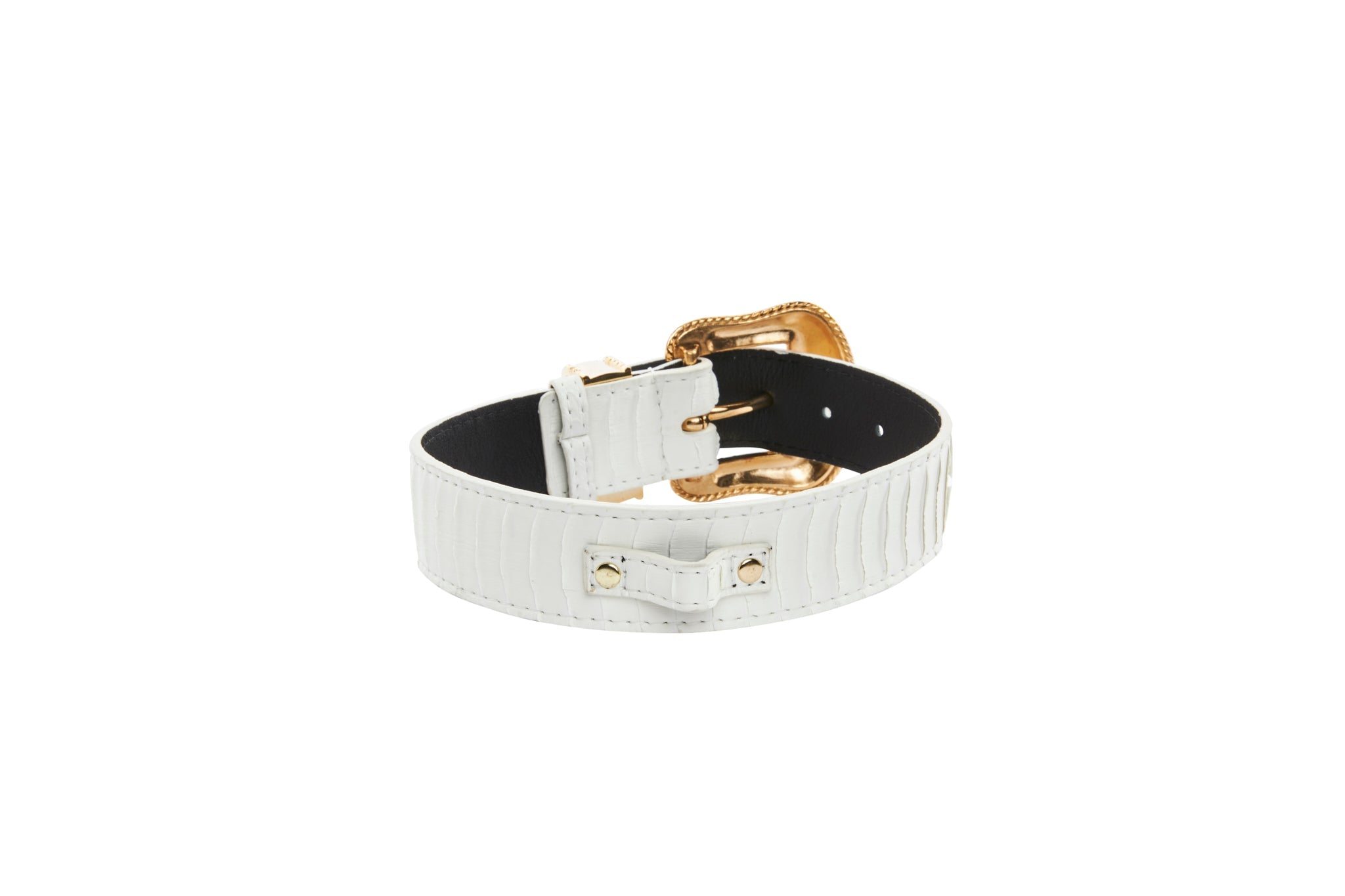 Matte White Snake Collar With Gold Swarovski Crystal Hardware Collar