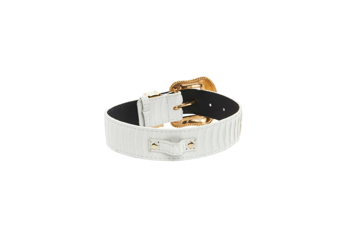 Allysa Payne Matte White Snake Dog Collar With Gold Swarovski Crystal Hardware Collar