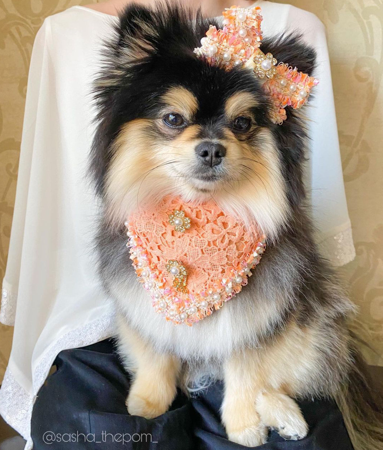 Romance Collection: The Sasha