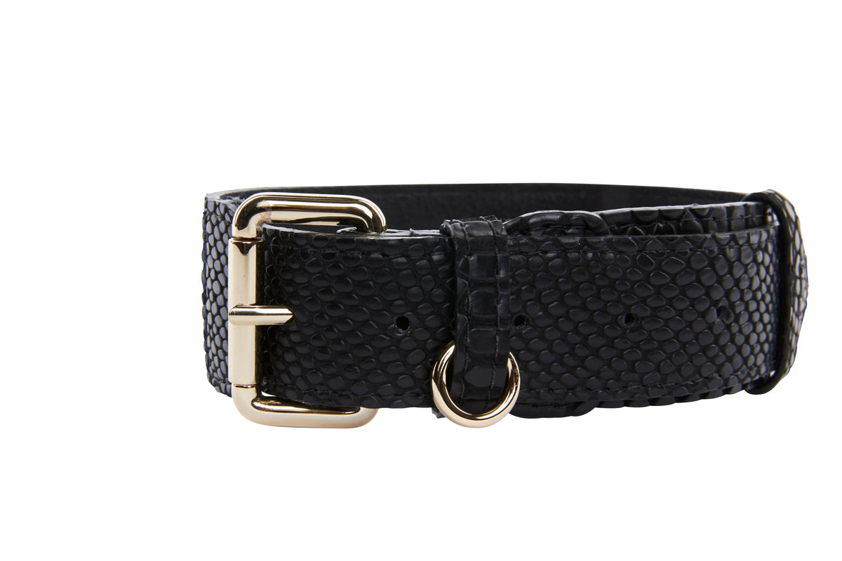 Allysa Payne Black Embossed Snake Italian Leather With Gold Classic Hardware Dog Collar