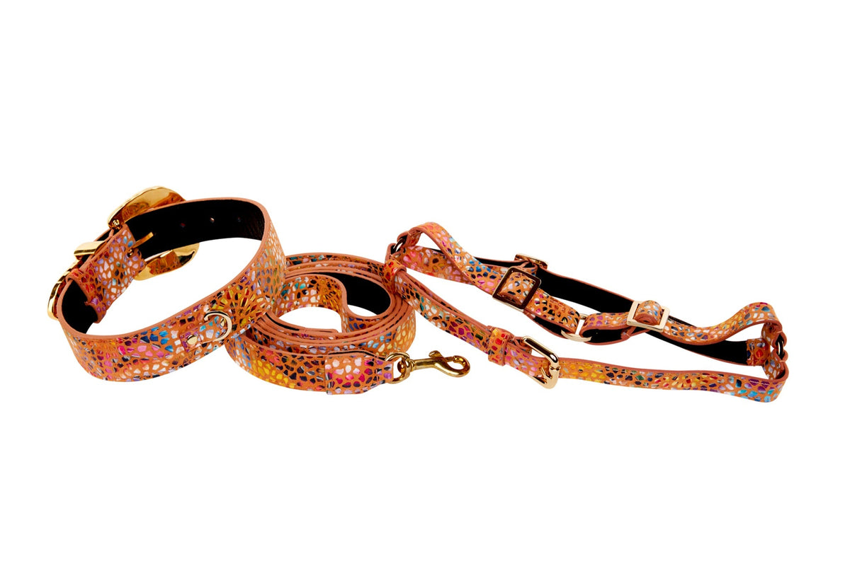 Allysa Payne Orange Floral Mosaic Italian Leather/Ornate Swarovski Crystal Hardware Dog Collar, Leash & Harness Set