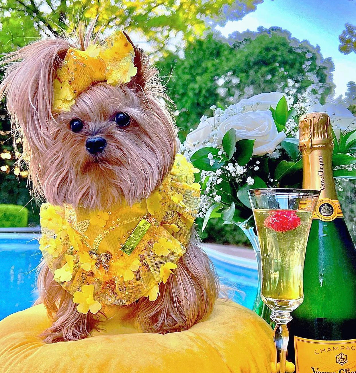 Celebrations II: The Roxy