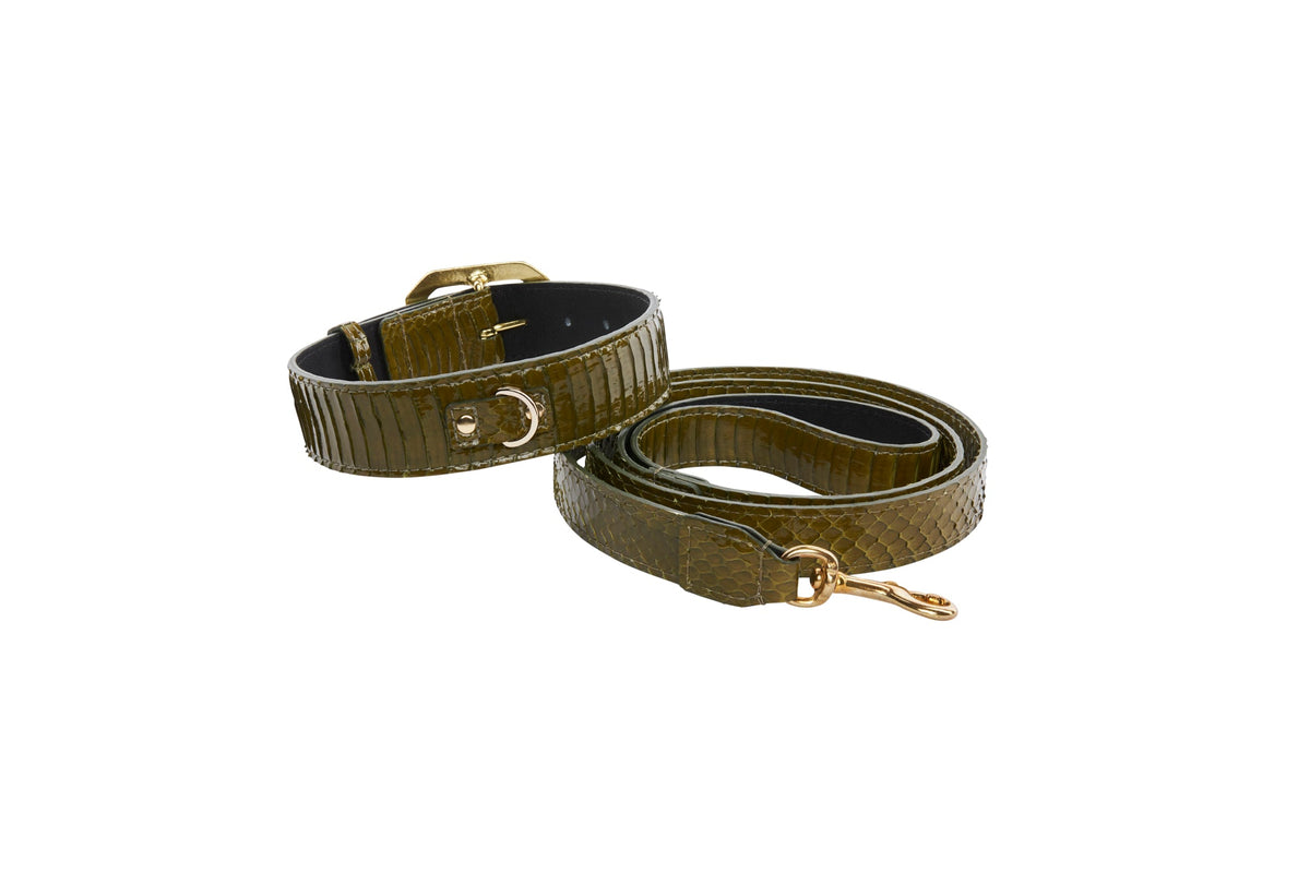 Allysa Payne Olive Green Snake Dog Collar & Leash Set