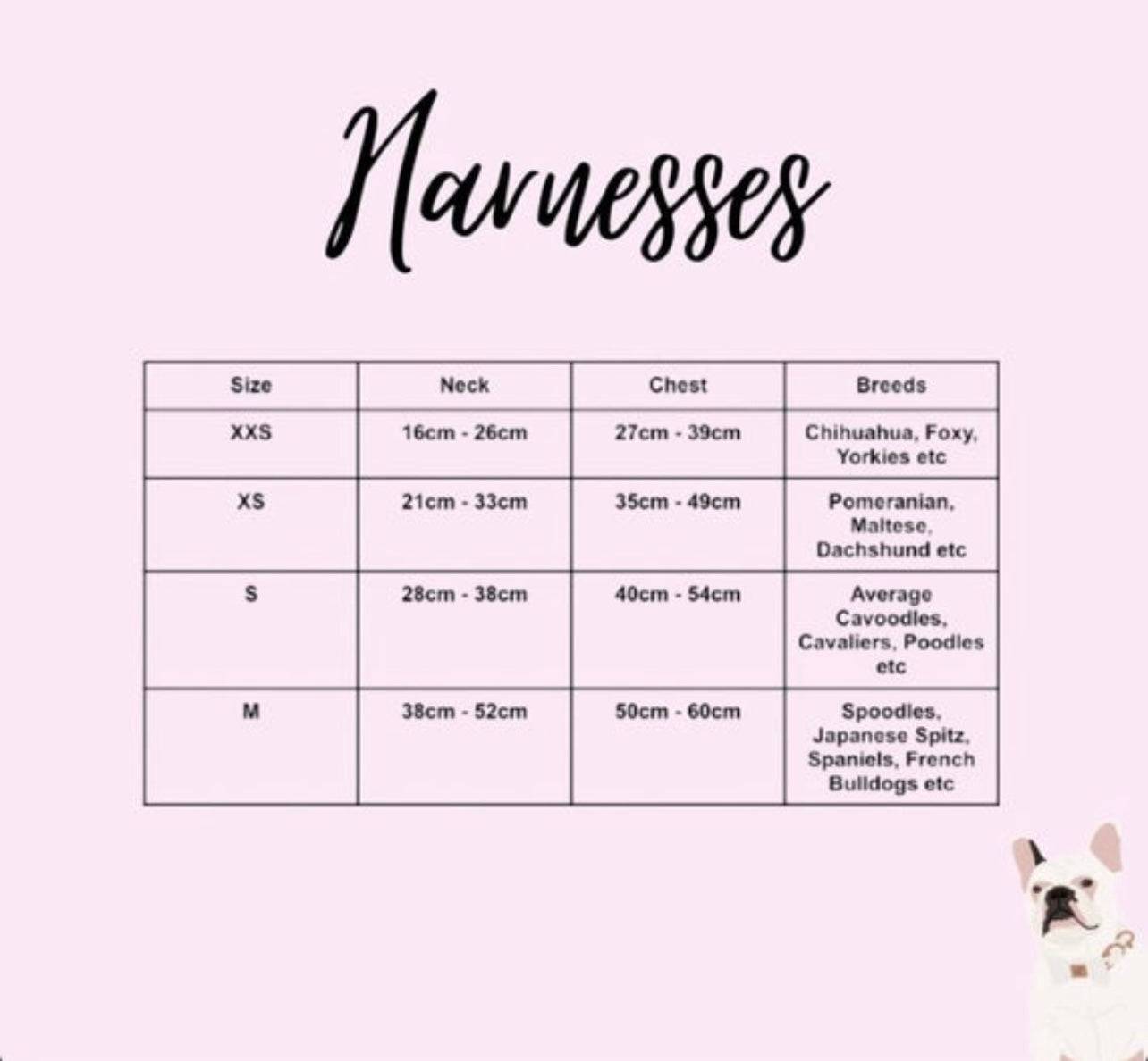 The Palms Dog Harness