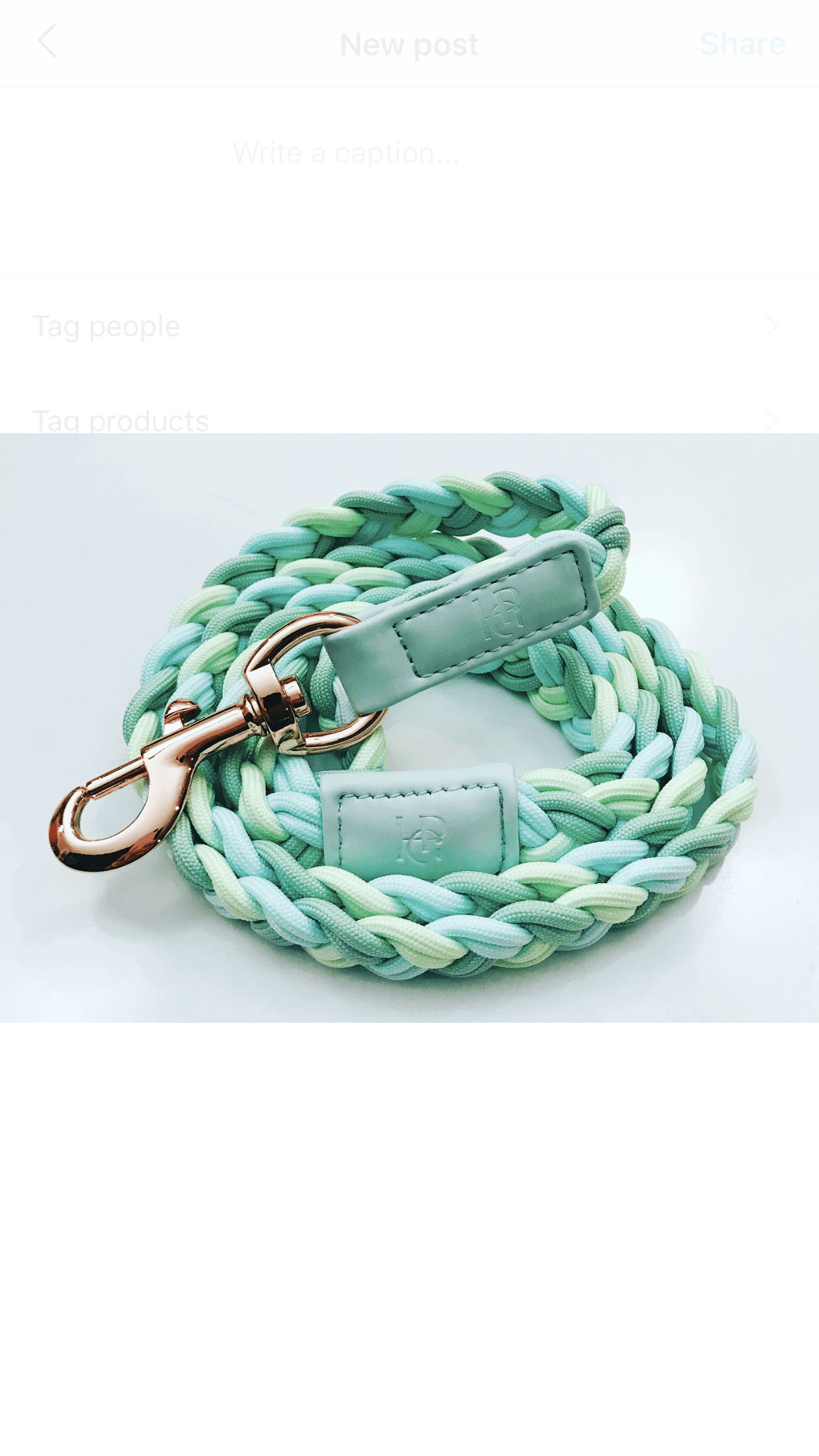 Dog Lead Aquamarine Plaited