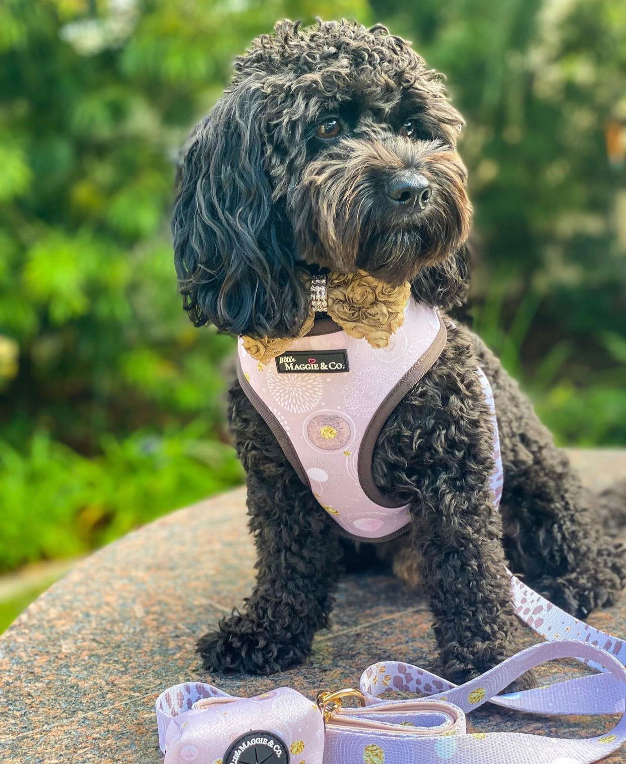 Essential Bundle: Cosmic