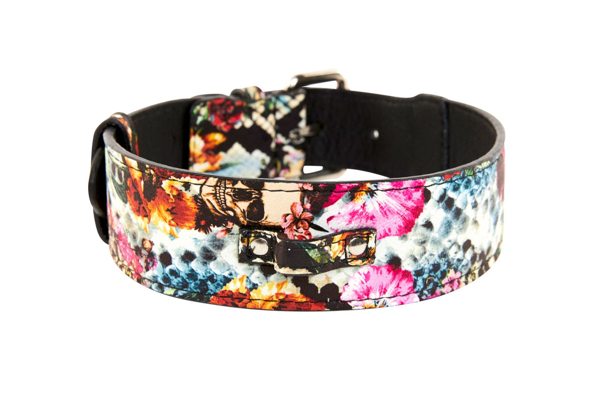 Allysa Payne Floral, Scull, Snake Print Italian Leather Dog Collar With Silver