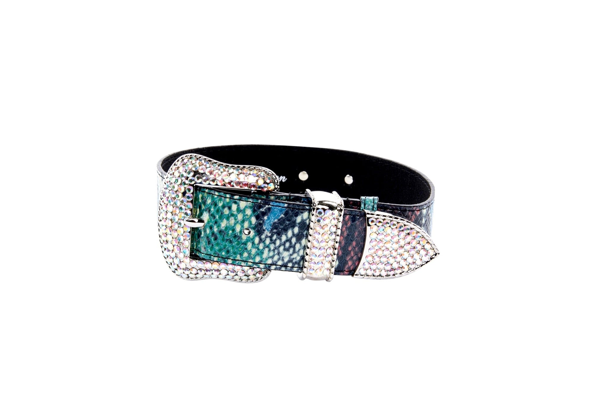 Allysa Payne Green, Blue, Black, Red Embossed Snake Italian Leather Dog Collar With Silver Swarovski Hardware