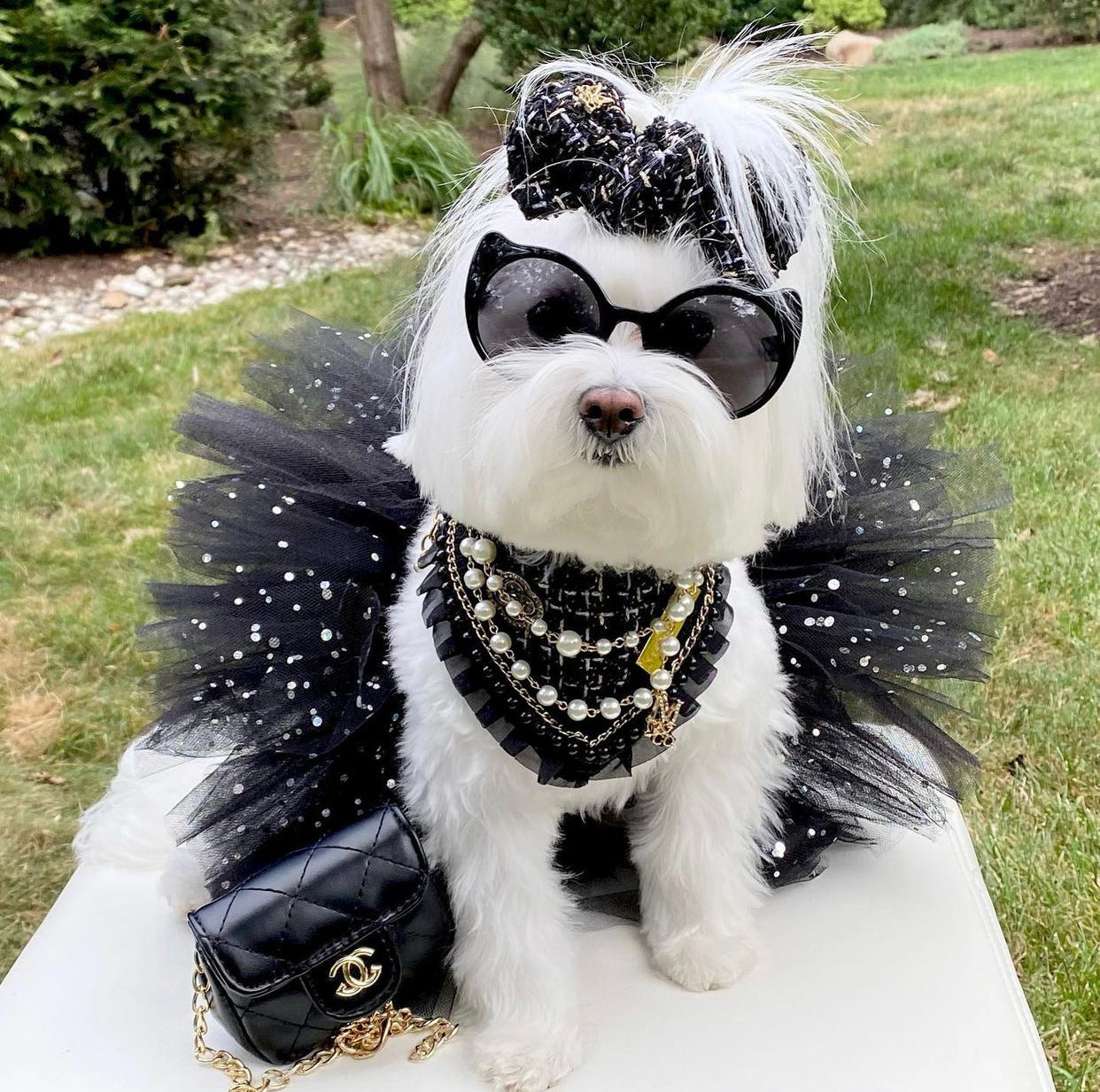 Special Edition: The Lincoln