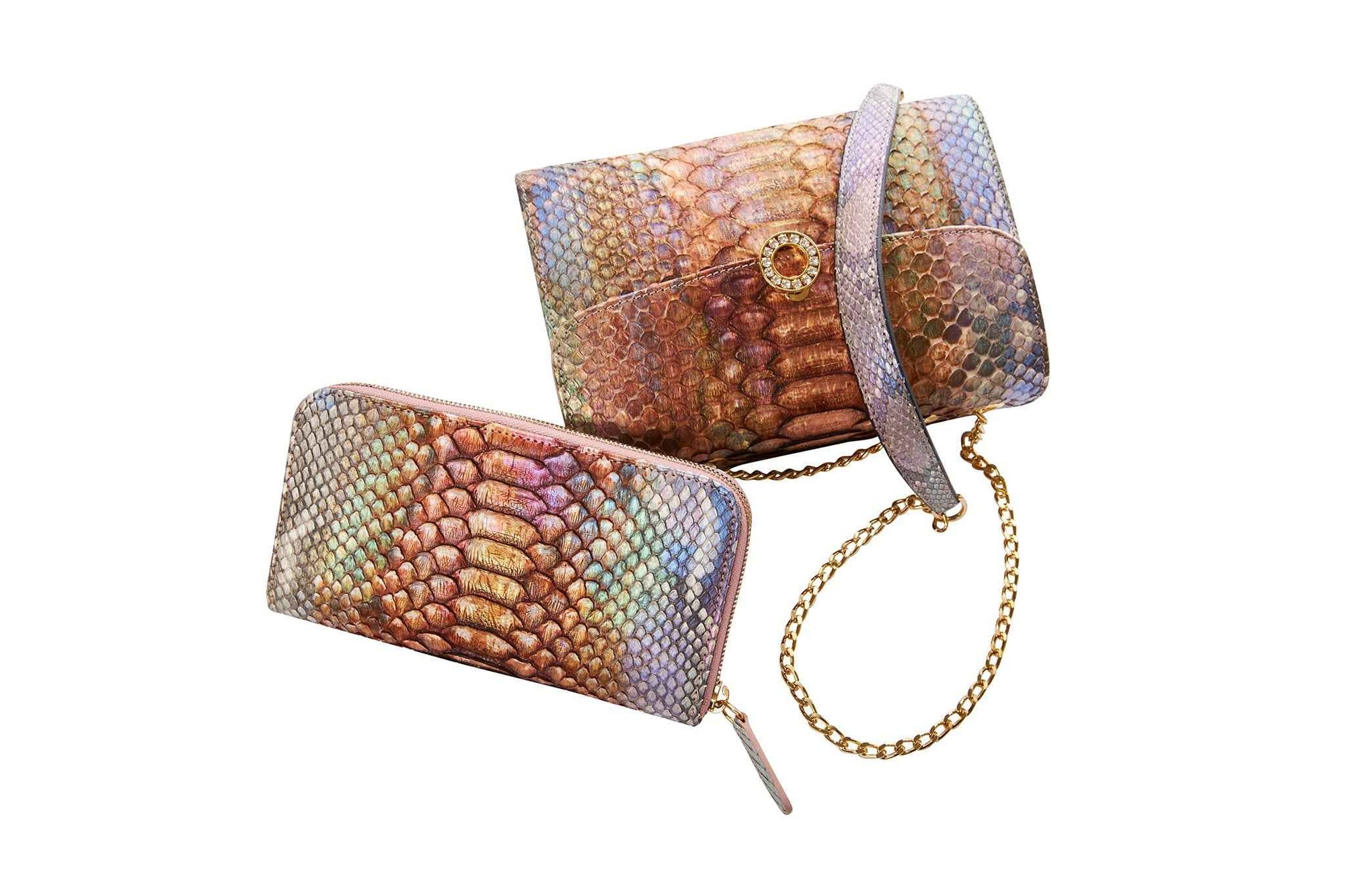 Allysa Payne Iridescent Python Day to Night Set Handbag