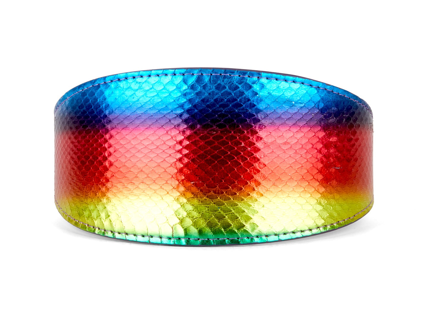 Allysa Payne Rainbow Snake 3-Inch Wide Style Dog Collar
