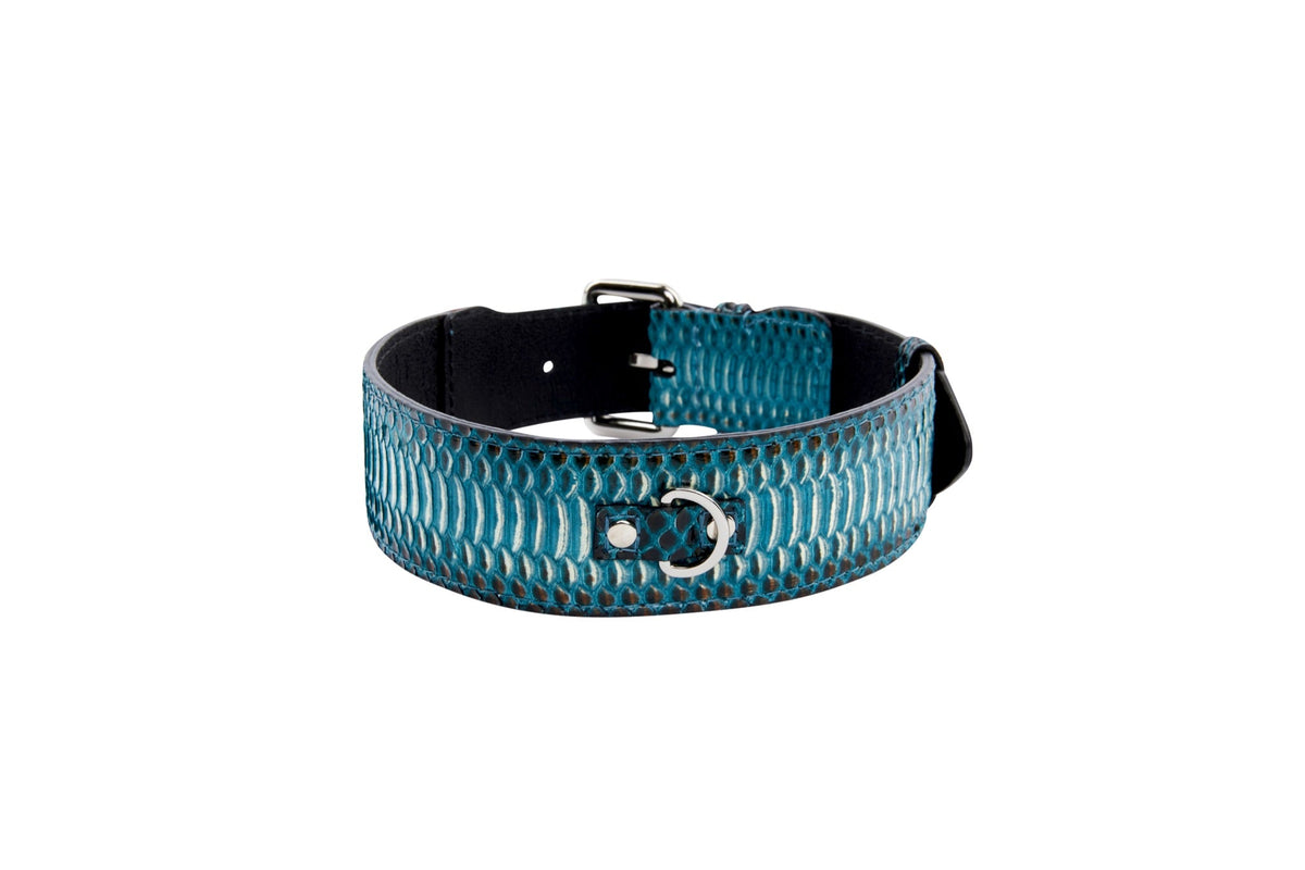 Allysa Payne Turquoise, Black Snake Classic Dog Collar With Silver Classic Hardware