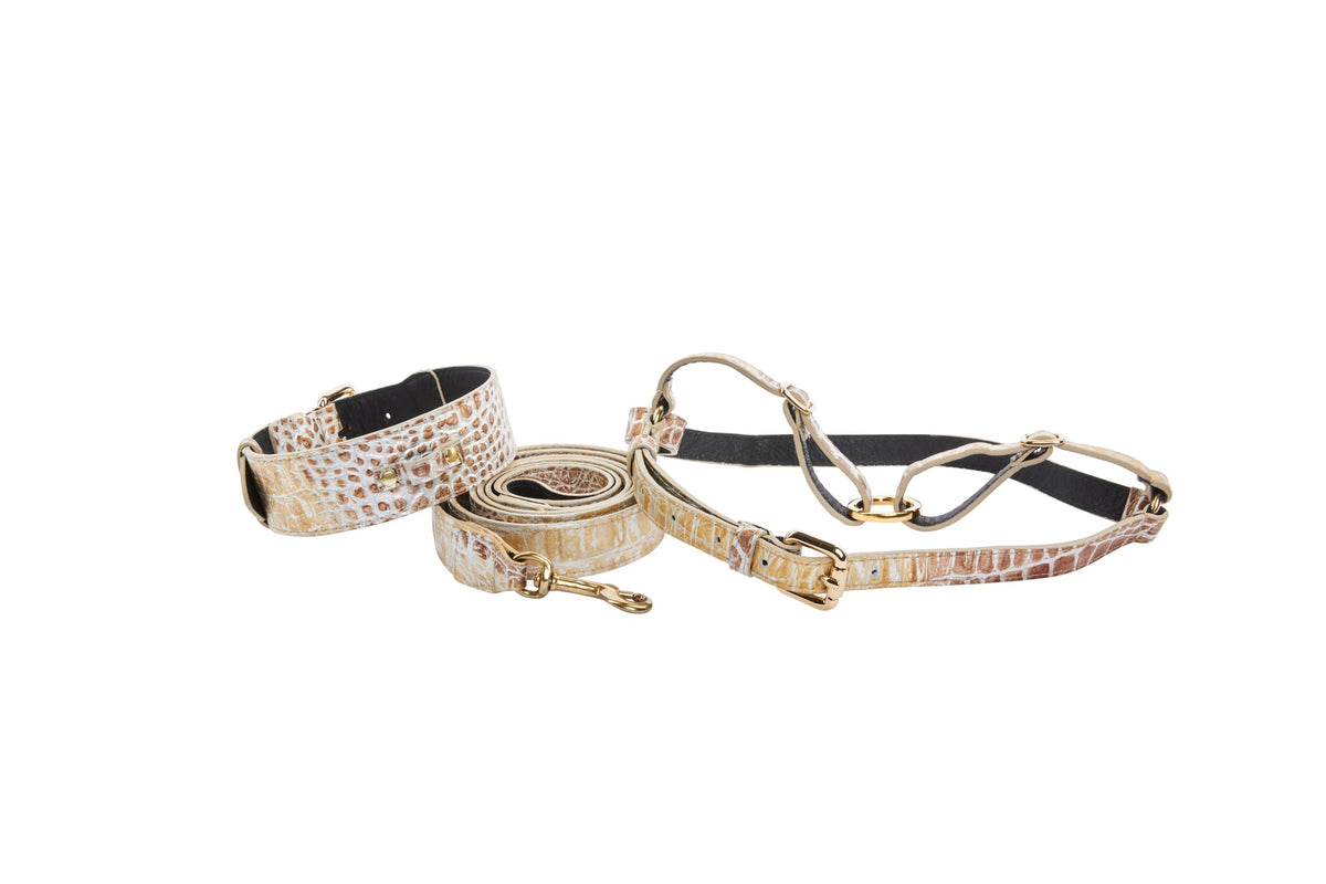 Allysa Payne Silver/Bronze/Gold Italian Leather Embossed Croc Classic Dog Collar, Leash & Harness Set