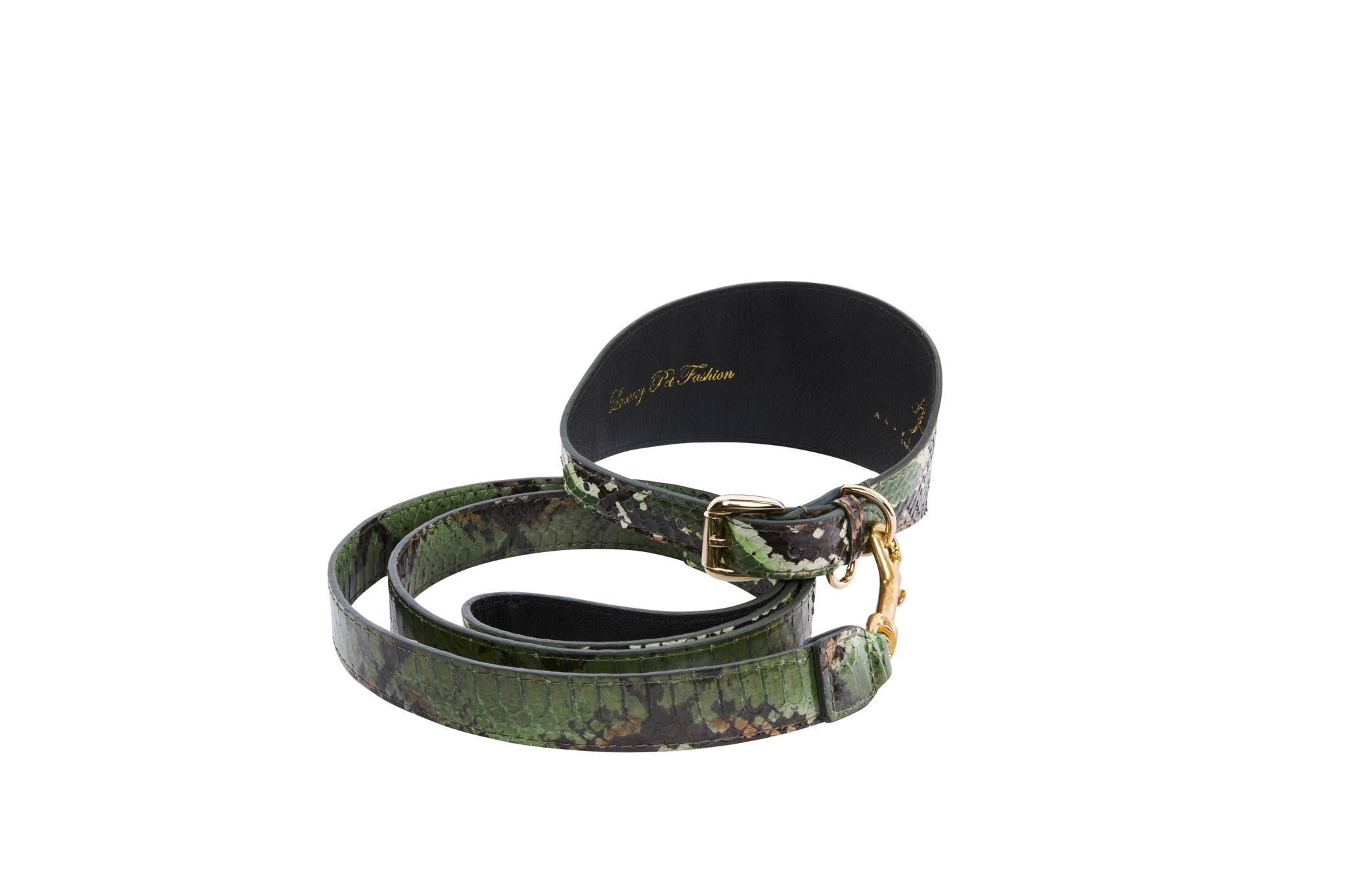 Multi Color Green Snake 3” Wide Style Collar & Leash Set