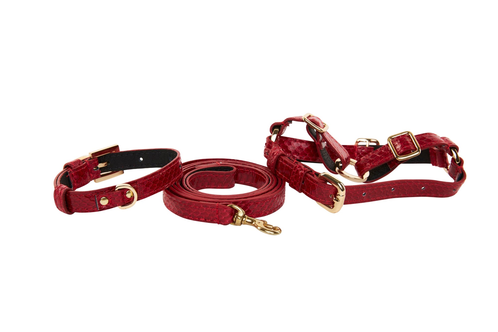 Allysa Payne XS Red Viper Snake Dog Collar, Leash & Harness Set