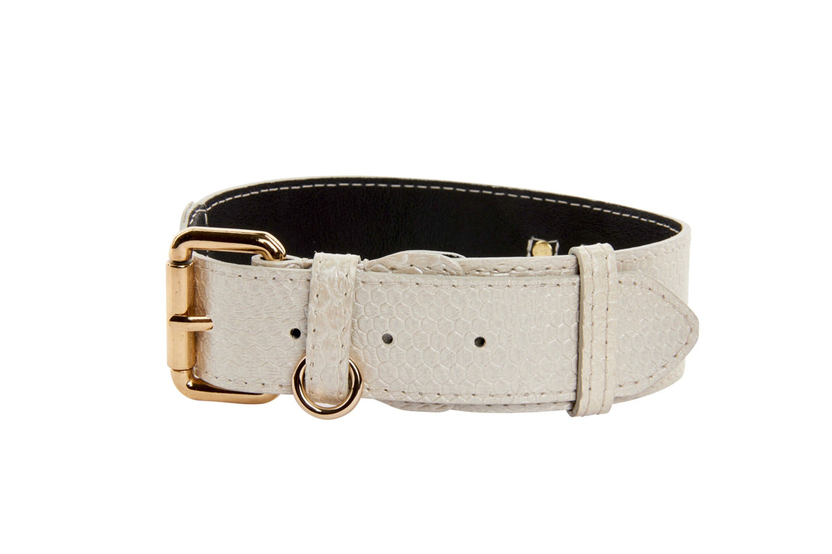 Allysa Payne Iridescent Off White Snake Dog Collar With Gold Classic Hardware