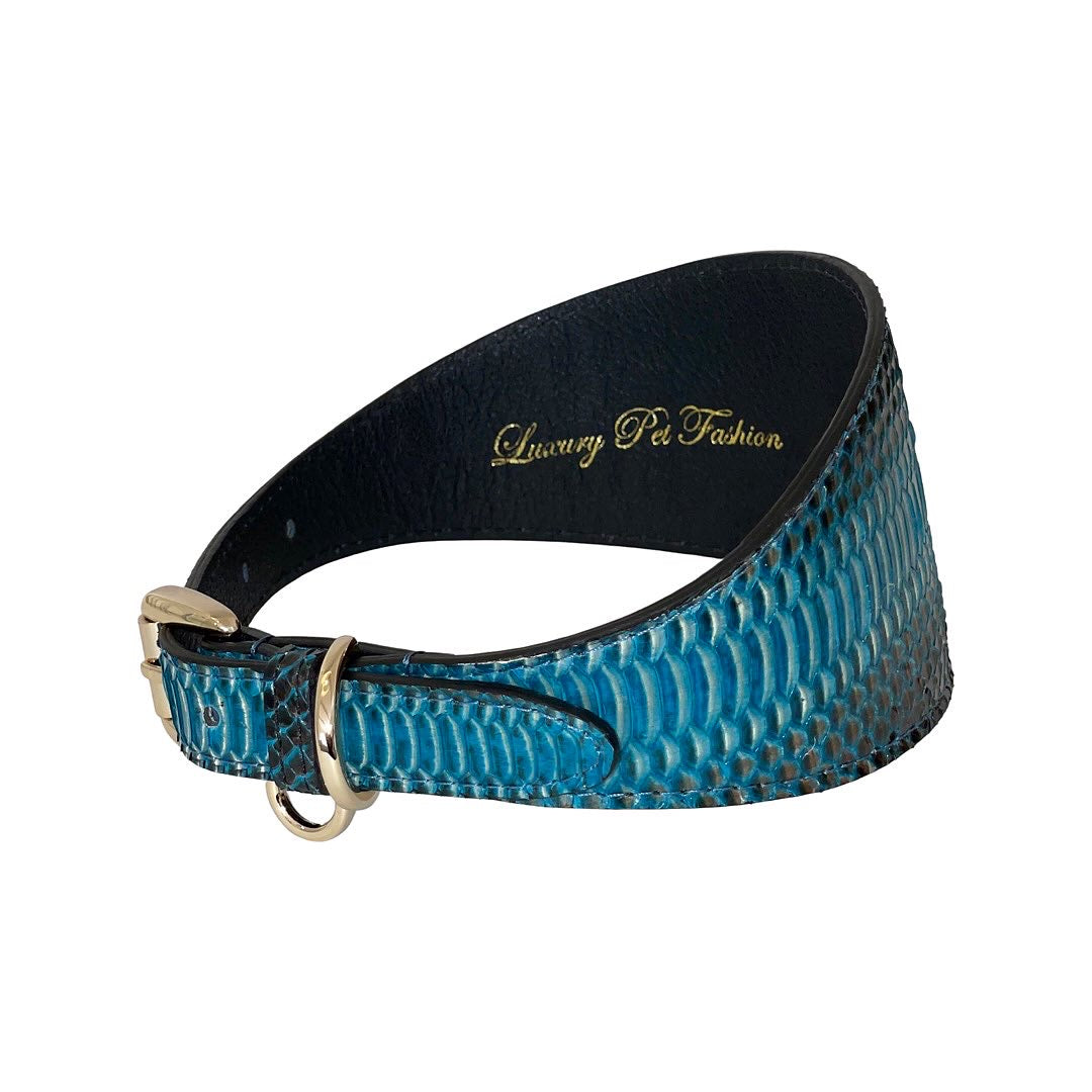 Turquoise/Black Snake