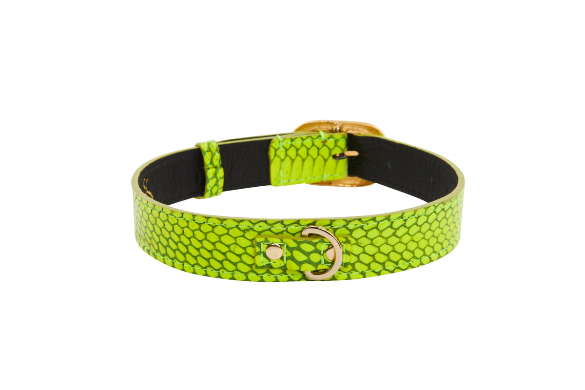 Allysa Payne Neon Green Snake/Vintage Black & Gold Italian HardwareCollar Dog Collar