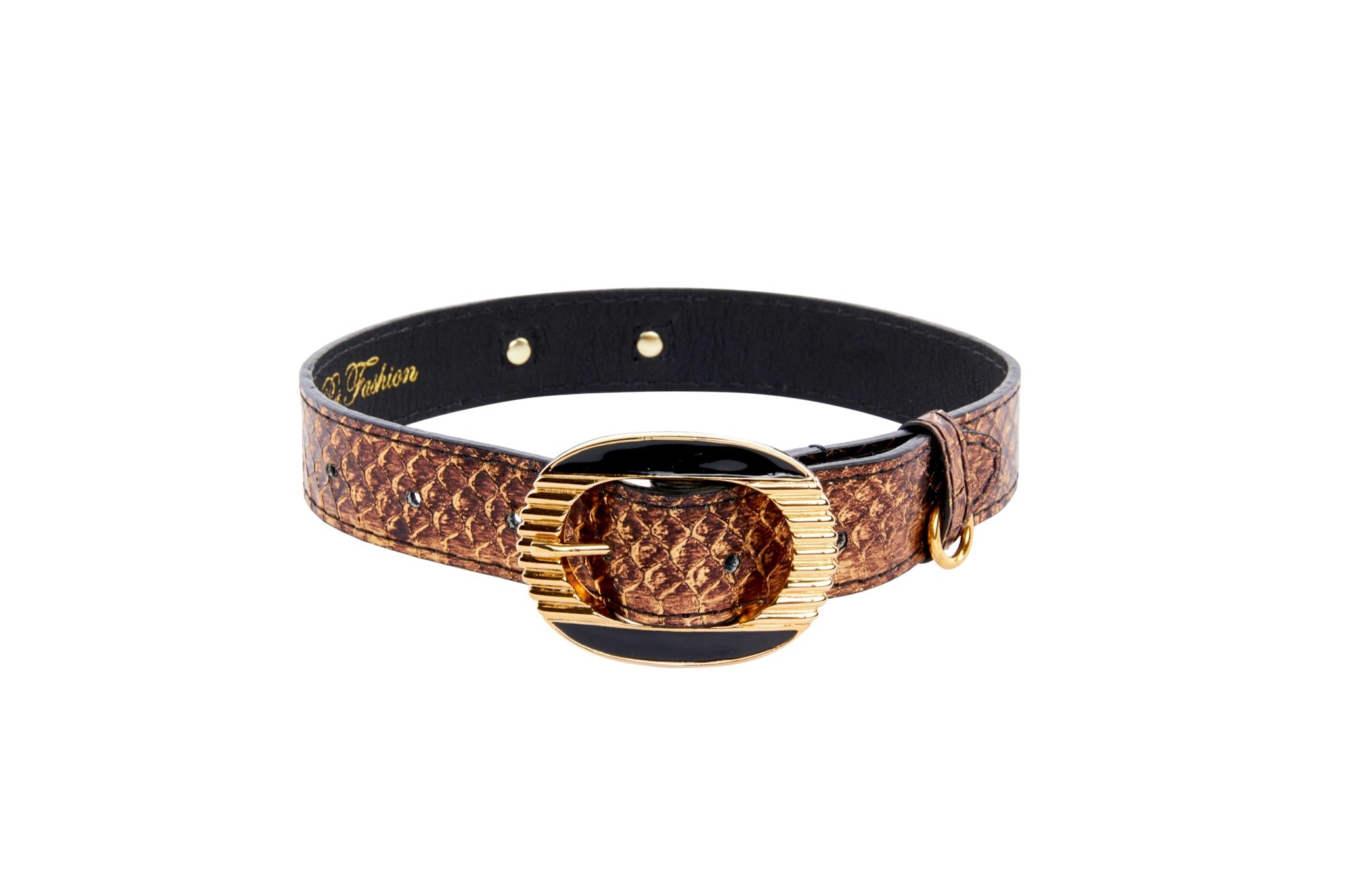 Bronze Gold Snake With Vintage Black & Gold Custom Italian Hardware Collar