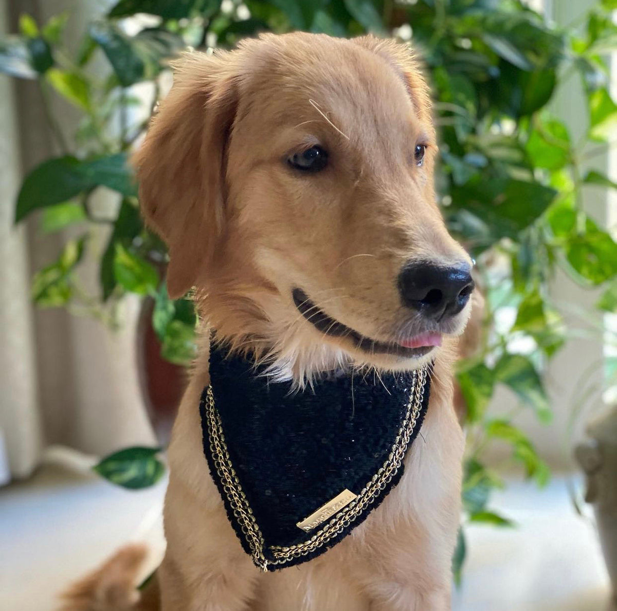Coco Runway: Dur Cuire Bandana