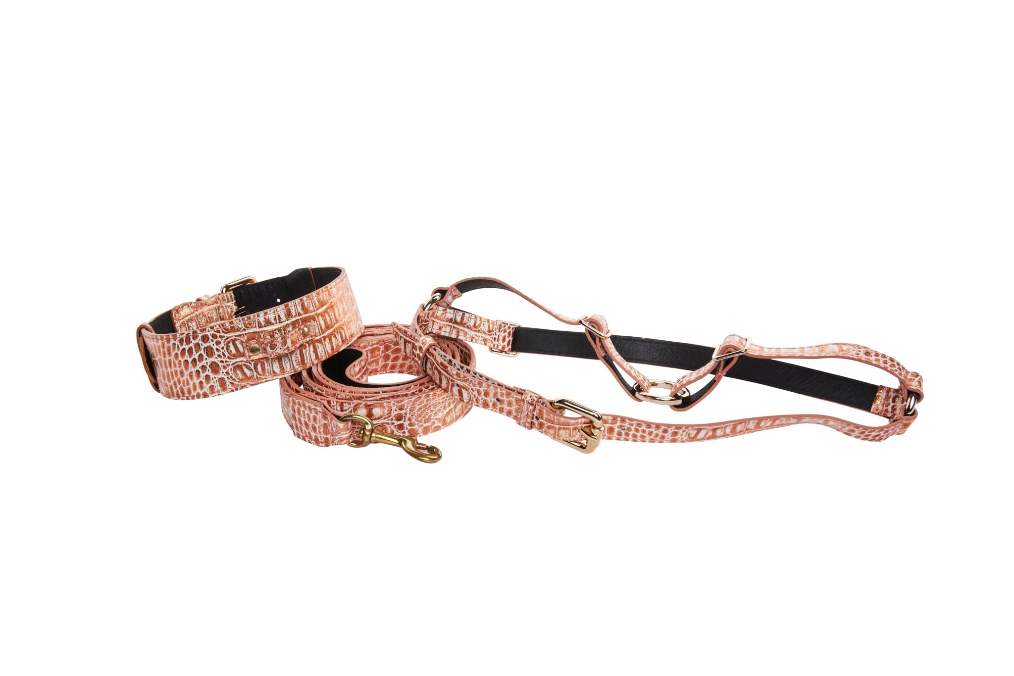 Copper Embossed Croc Italian Leather With Classic Collar, Leash & Harness