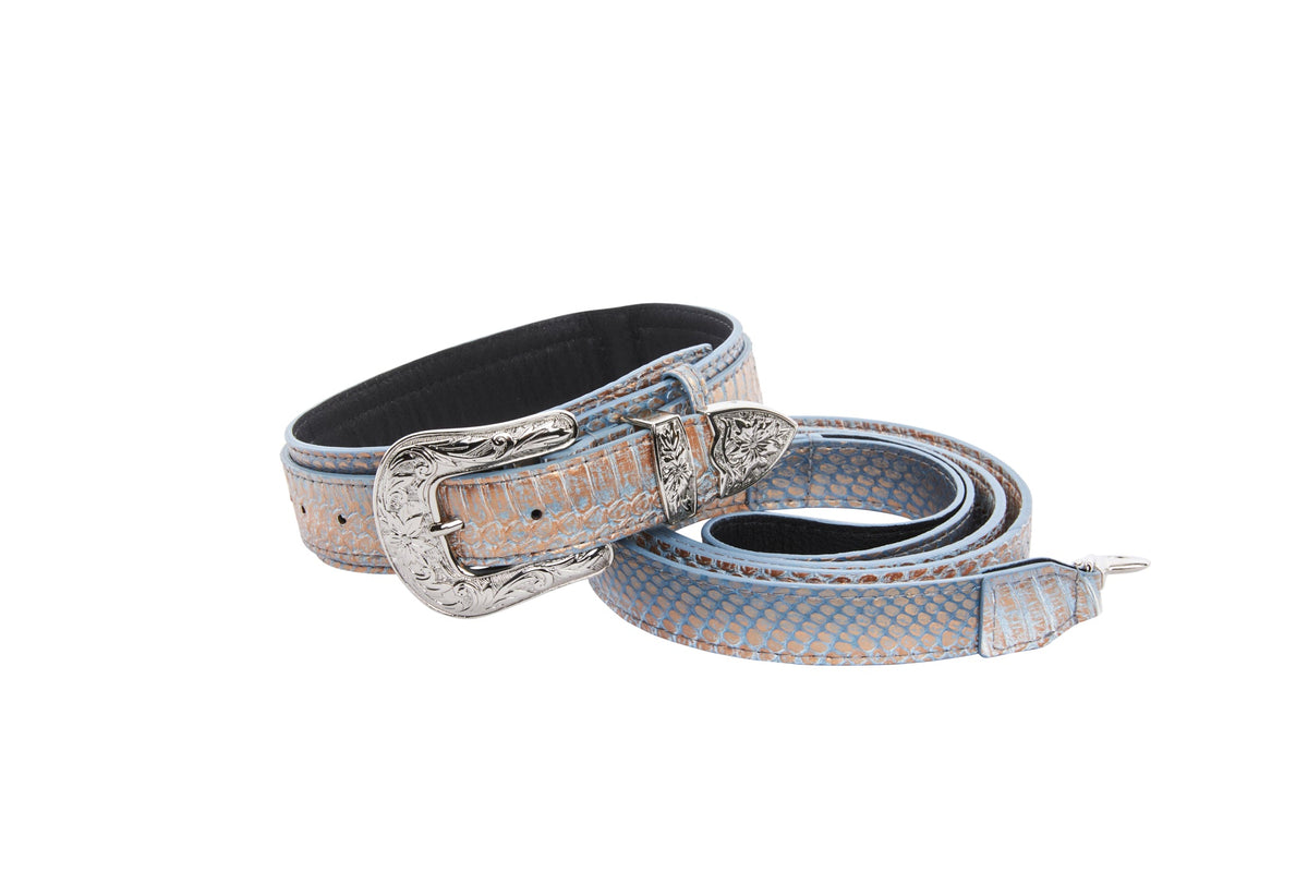 Allysa Payne Luxury Pet Fashion Baby Blue/Blue/Bronze Snake , Finished with Silver Floral Western Hardware Dog Collar & Leash Set