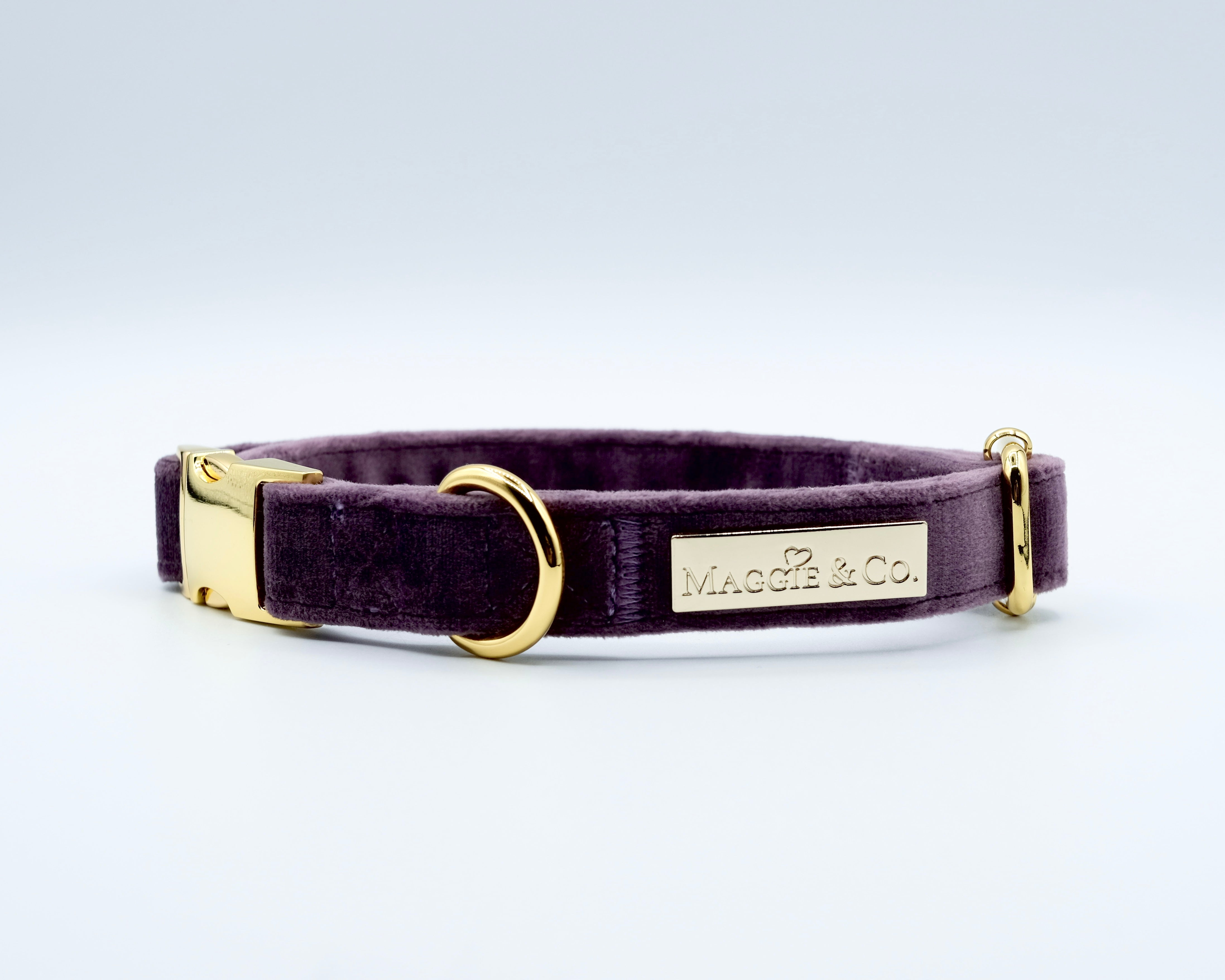 Velvet: The Susana Collar