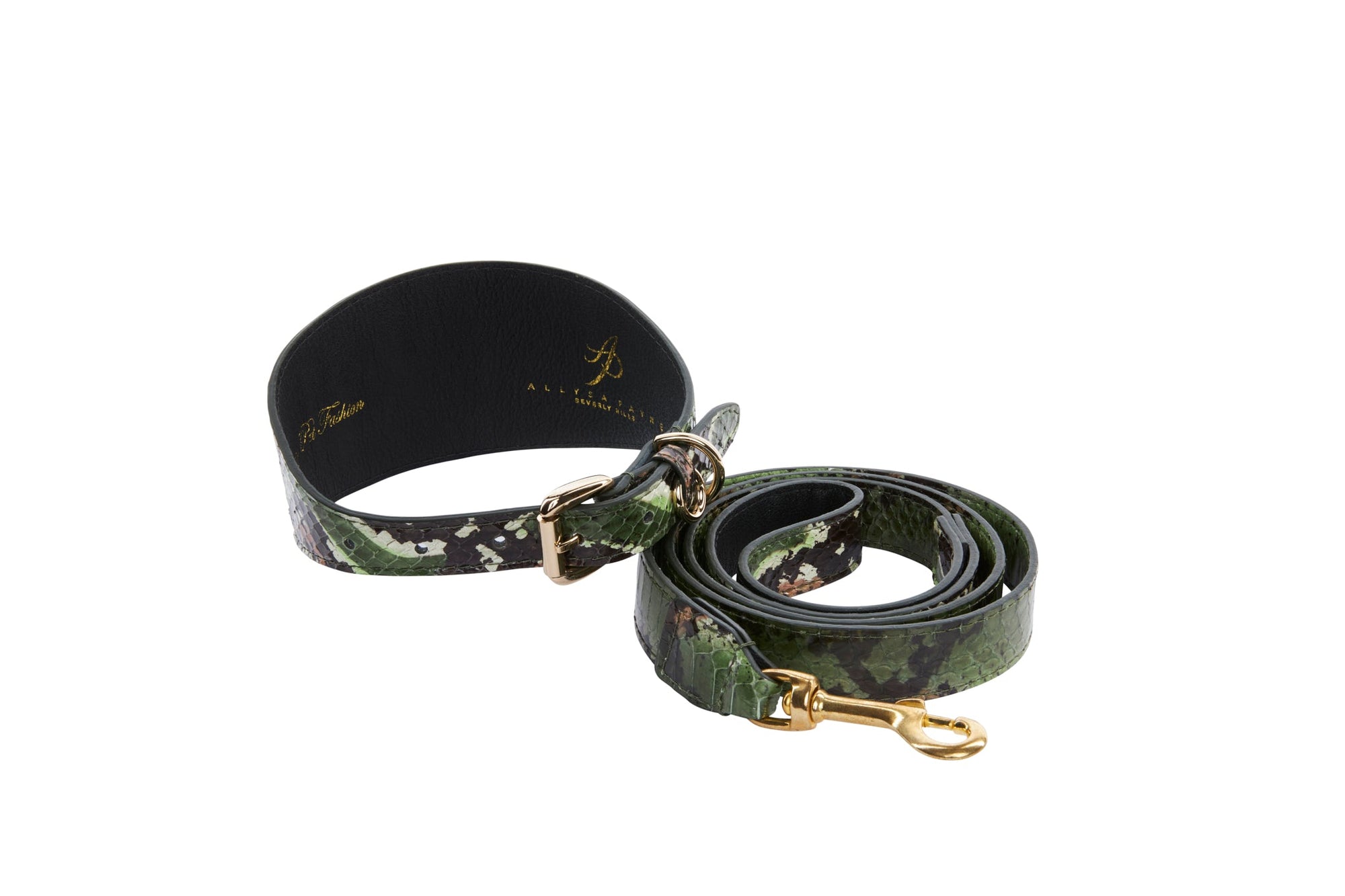 Allysa Payne Multi Color Green Snake 3-Inch Wide Style Dog Collar & Leash Set