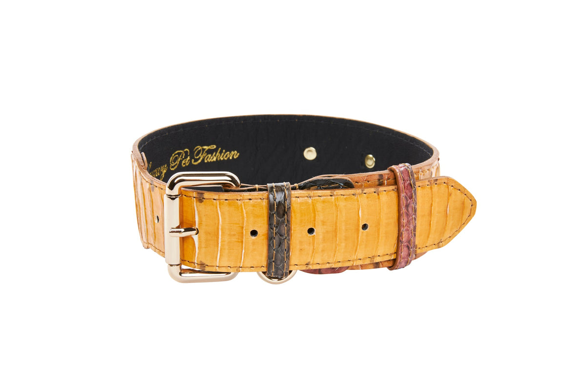 Allysa Payne Luxury Let Fashion Mustard Yellow Snakeskin With Classic Gold Hardware Dog Collar
