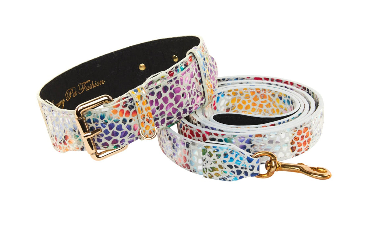 Allysa Payne White Floral Mosaic Italian Leather With Gold Classic Hardware Dog Collar & Leash Set