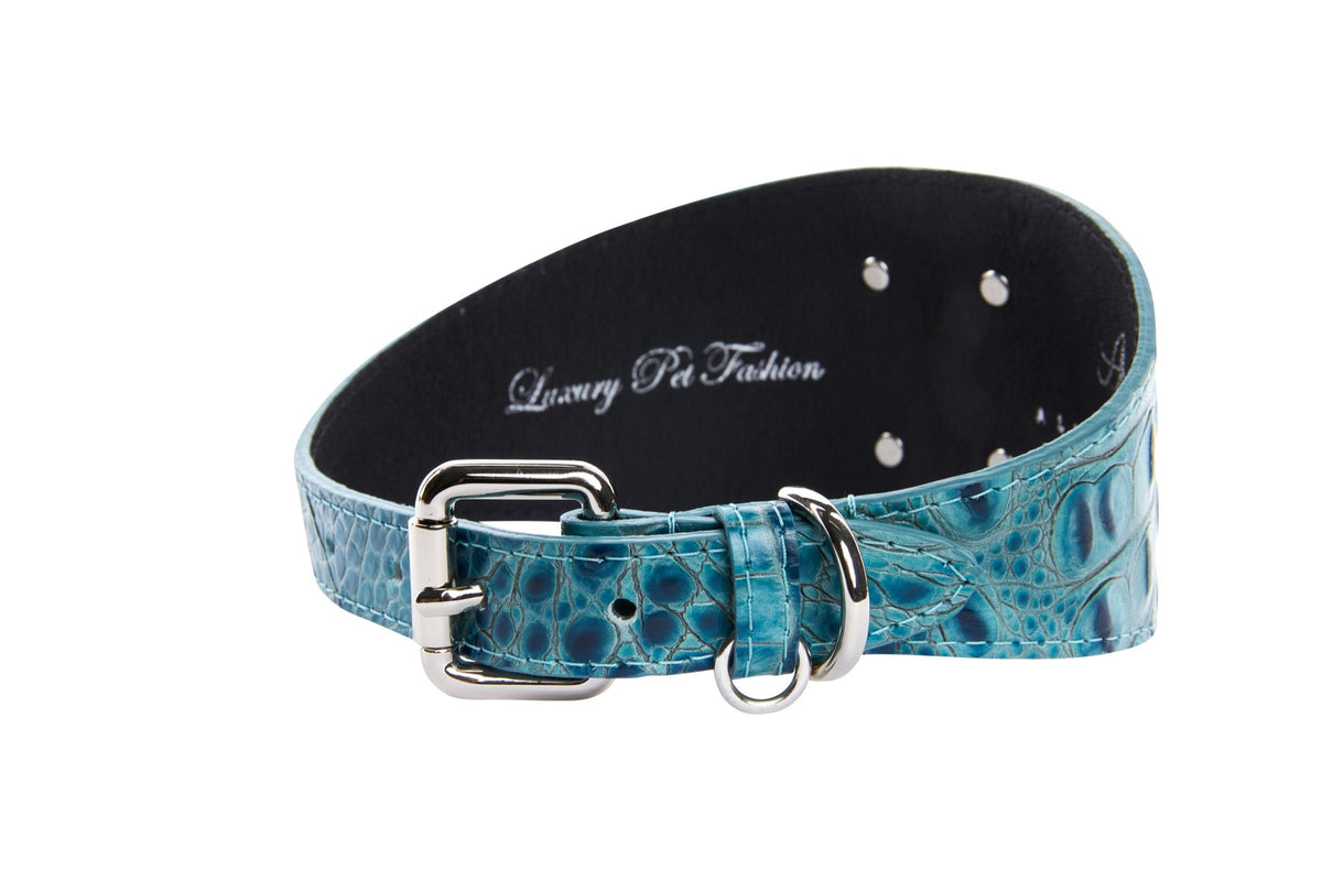 Allysa Payne Turquoise Embossed Croc Italian Leather 3-Inch Wide Style Dog Collar With Large Silver Custom Rivet