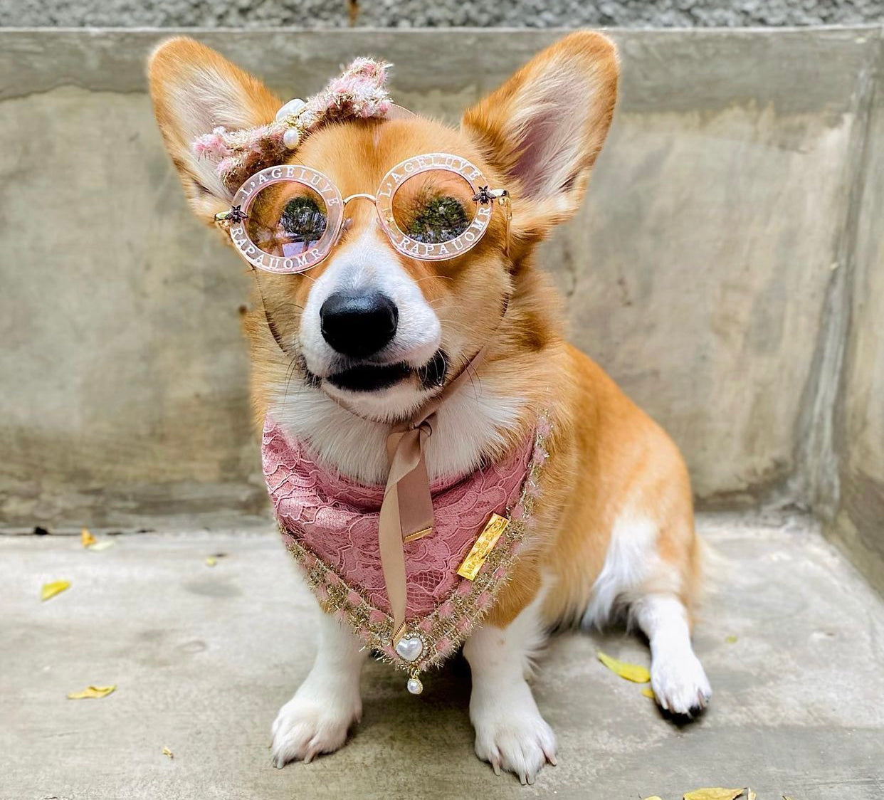 Romance Collection: The Minnie