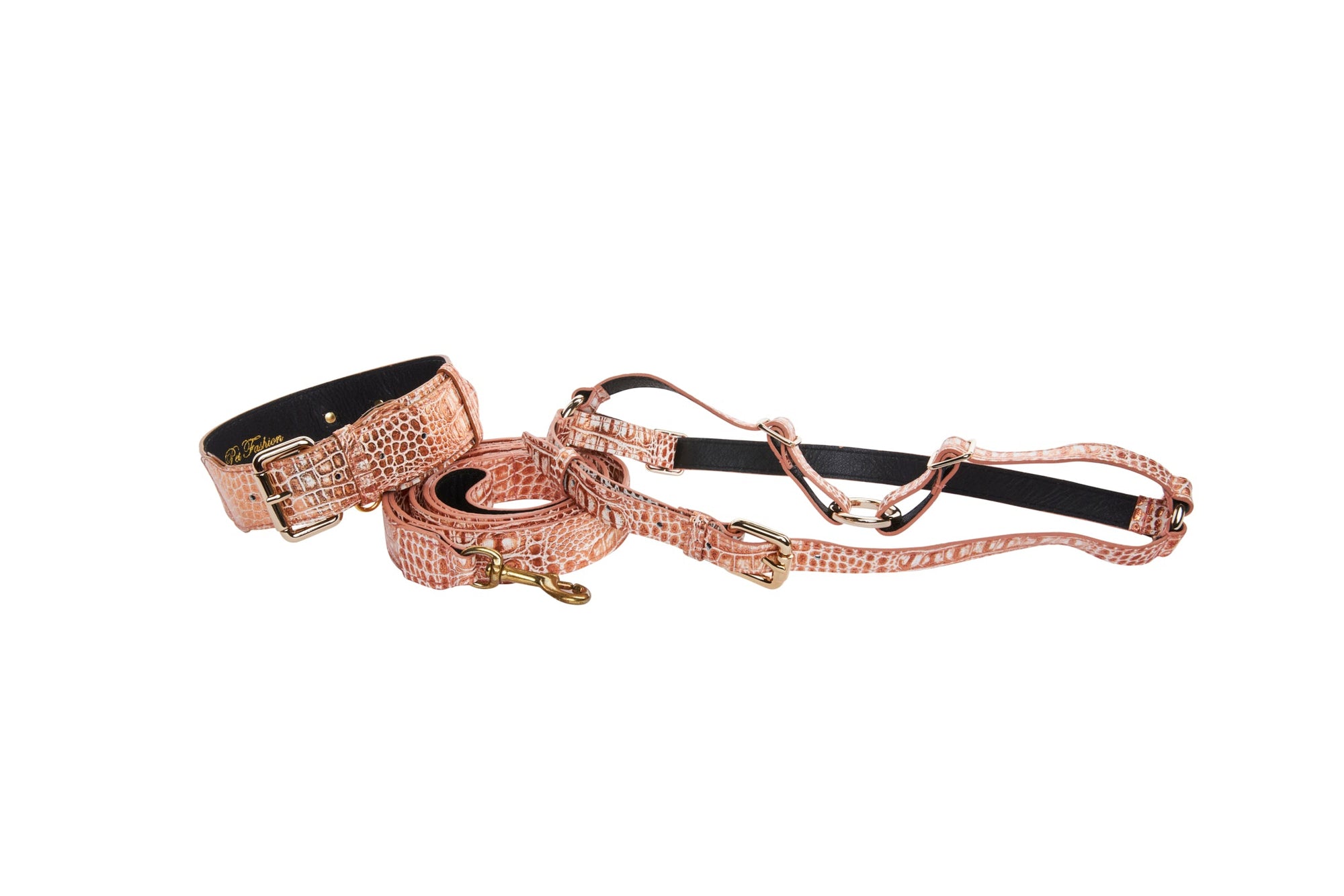 Allysa Payne Copper Embossed Croc Italian Leather With Classic Collar, Leash & Dog Harness