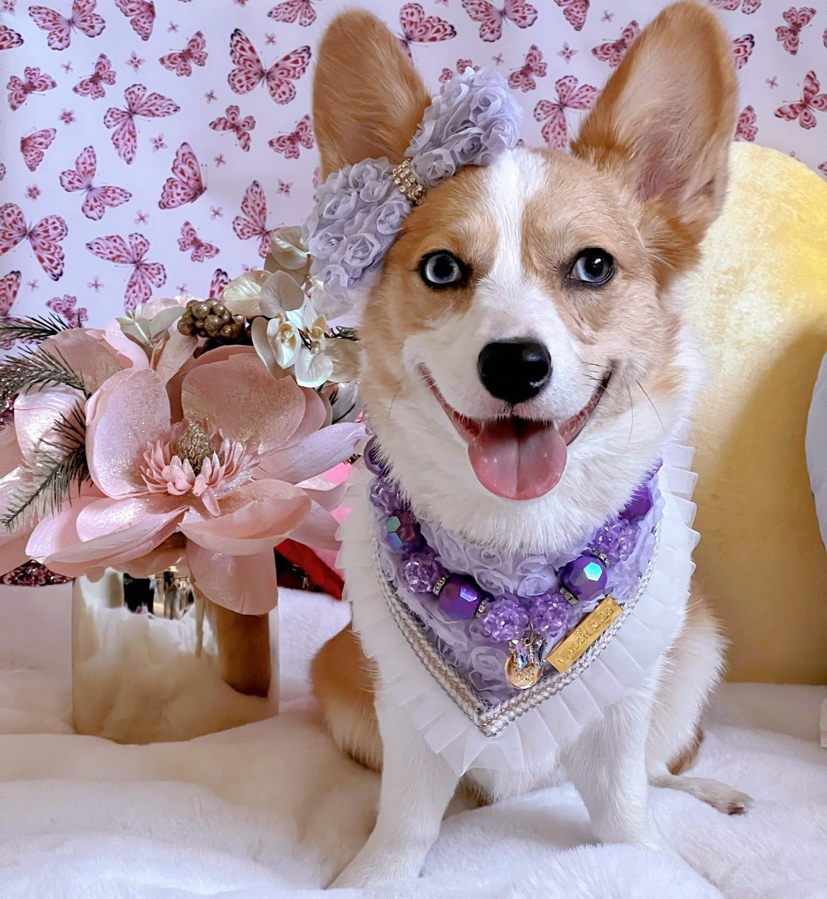 Forever Bliss: The Clara